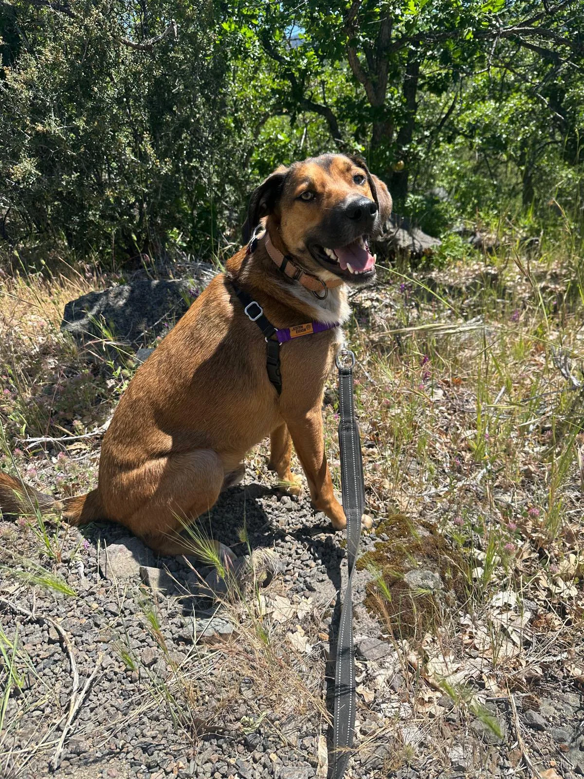 PHOTO-2025-06-03-14-30-35 3.jpeg