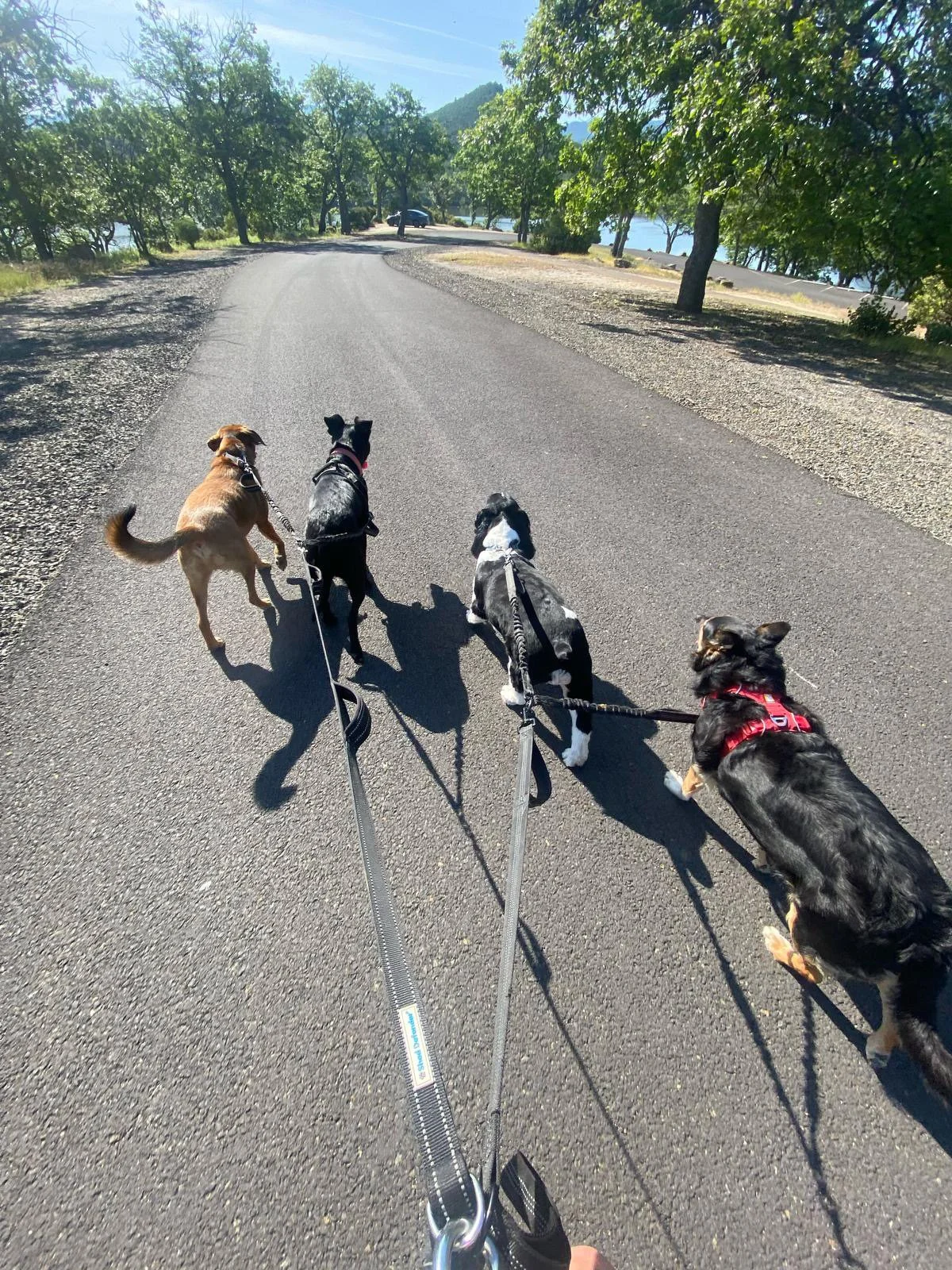 PHOTO-2025-05-01-16-30-45 2.jpeg