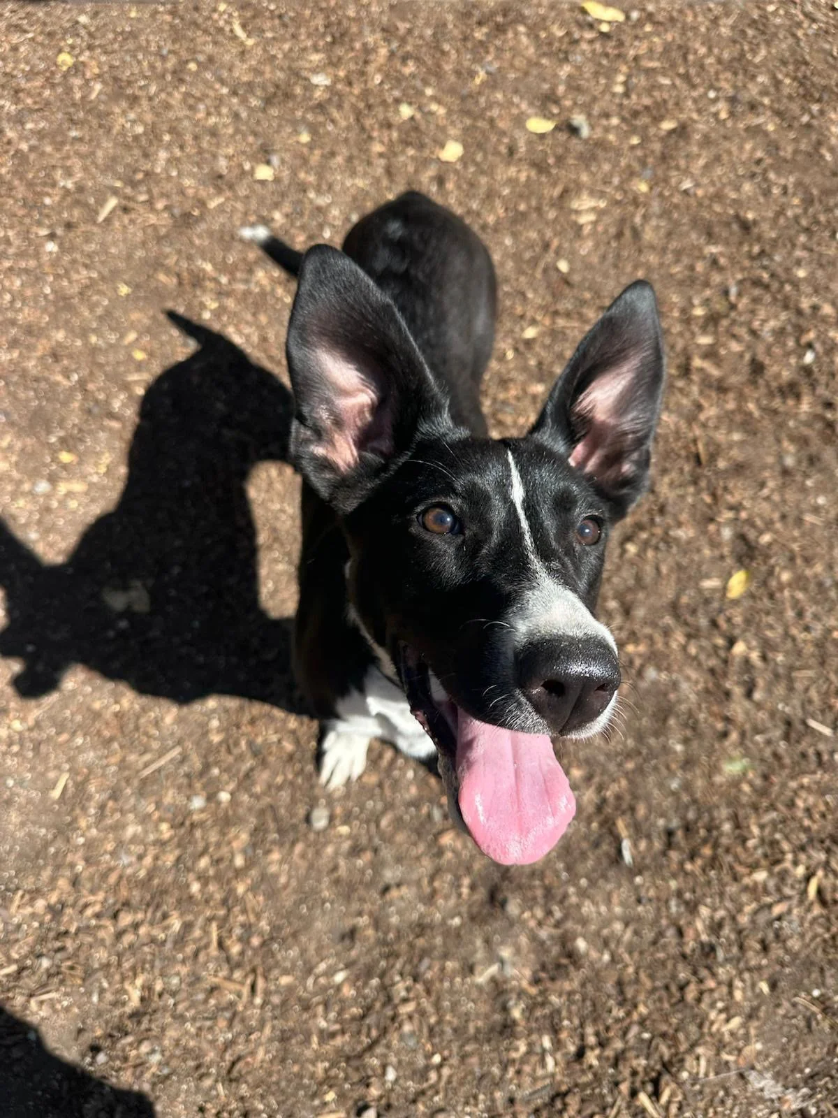 PHOTO-2025-06-11-16-46-50 5.jpeg