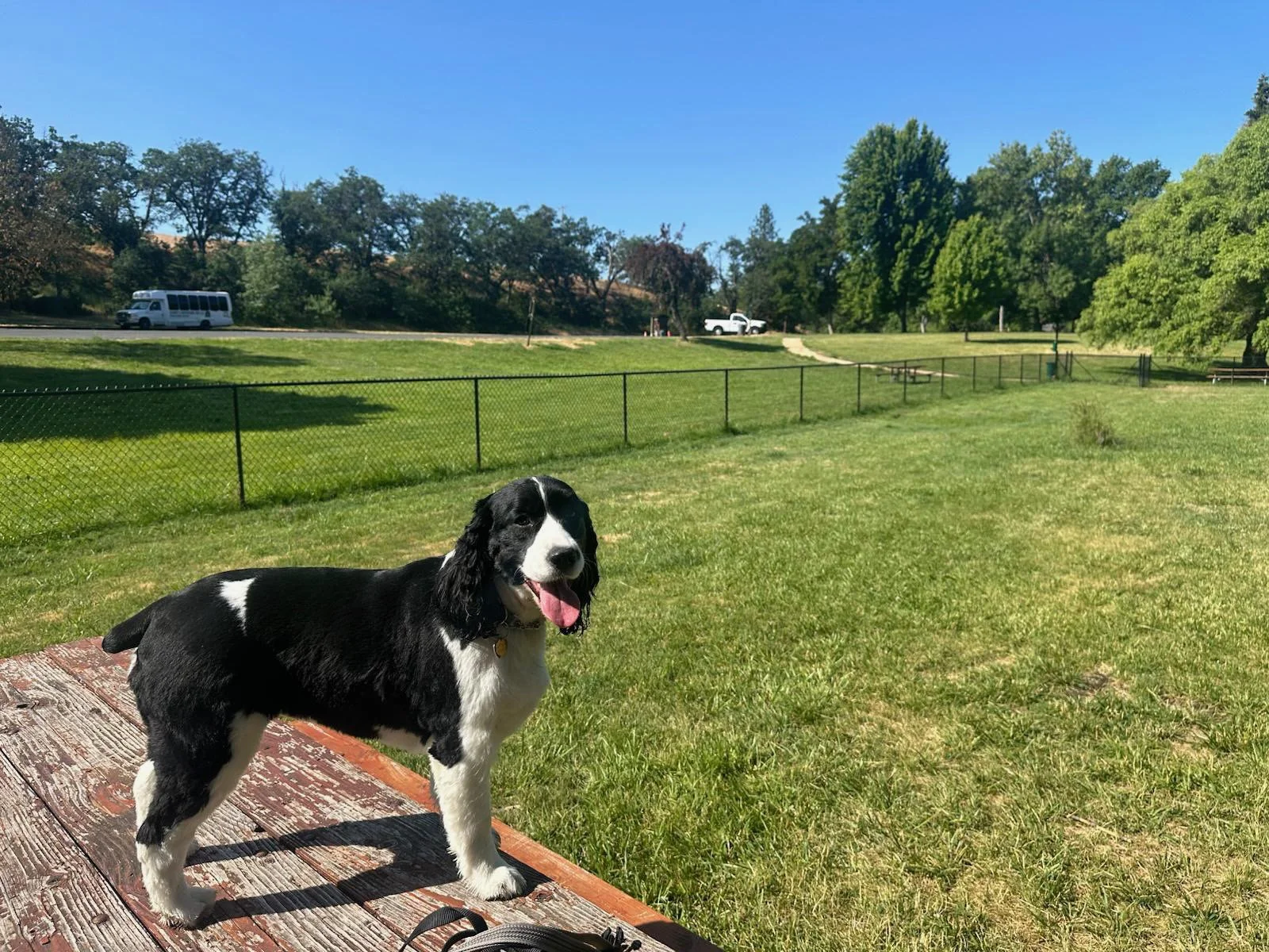 PHOTO-2025-06-05-15-42-22 3.jpeg