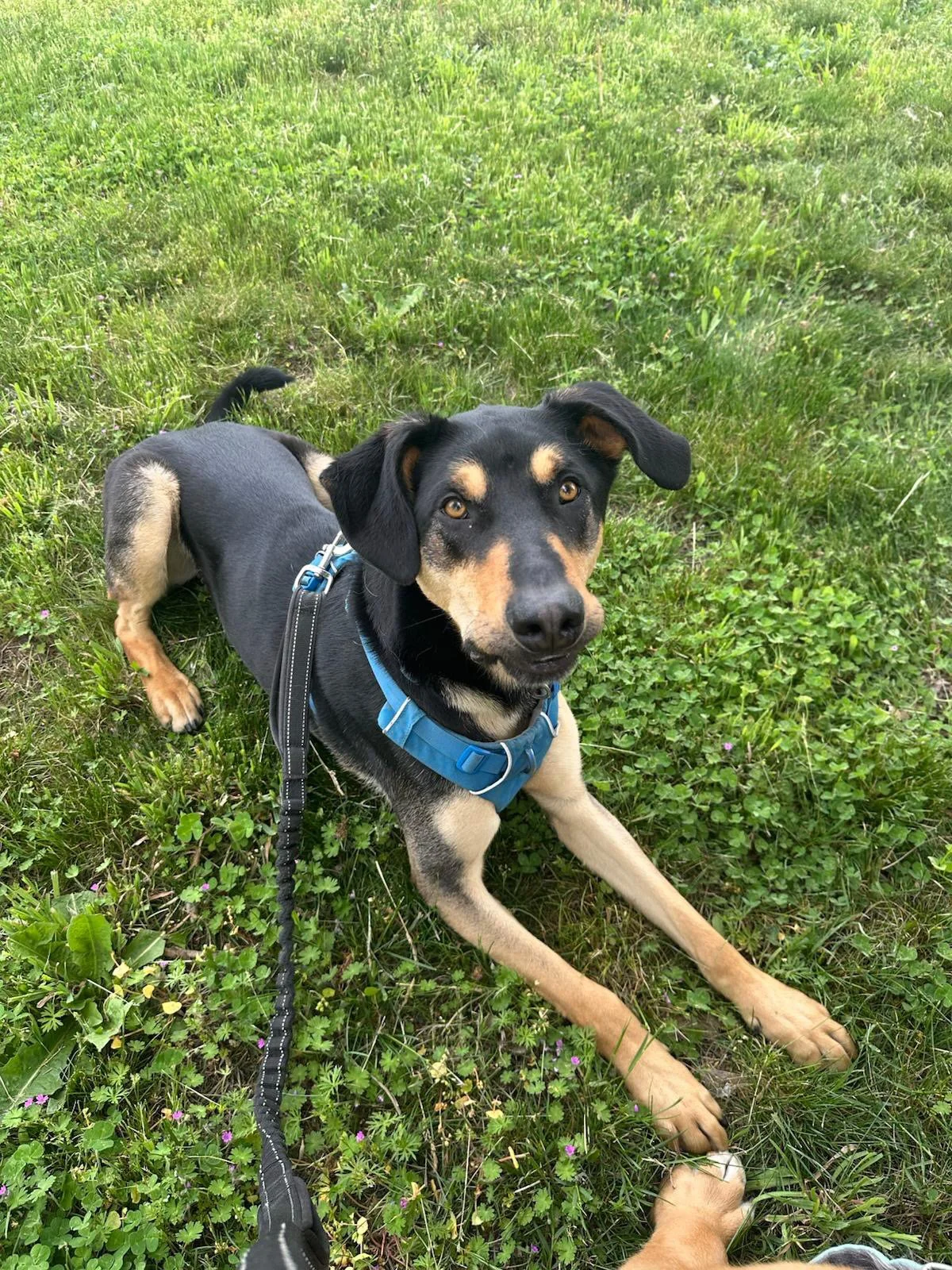 PHOTO-2025-04-30-17-33-45 9.jpeg