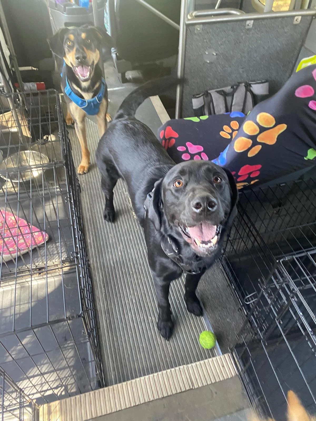 PHOTO-2025-05-05-16-48-23 3.jpeg