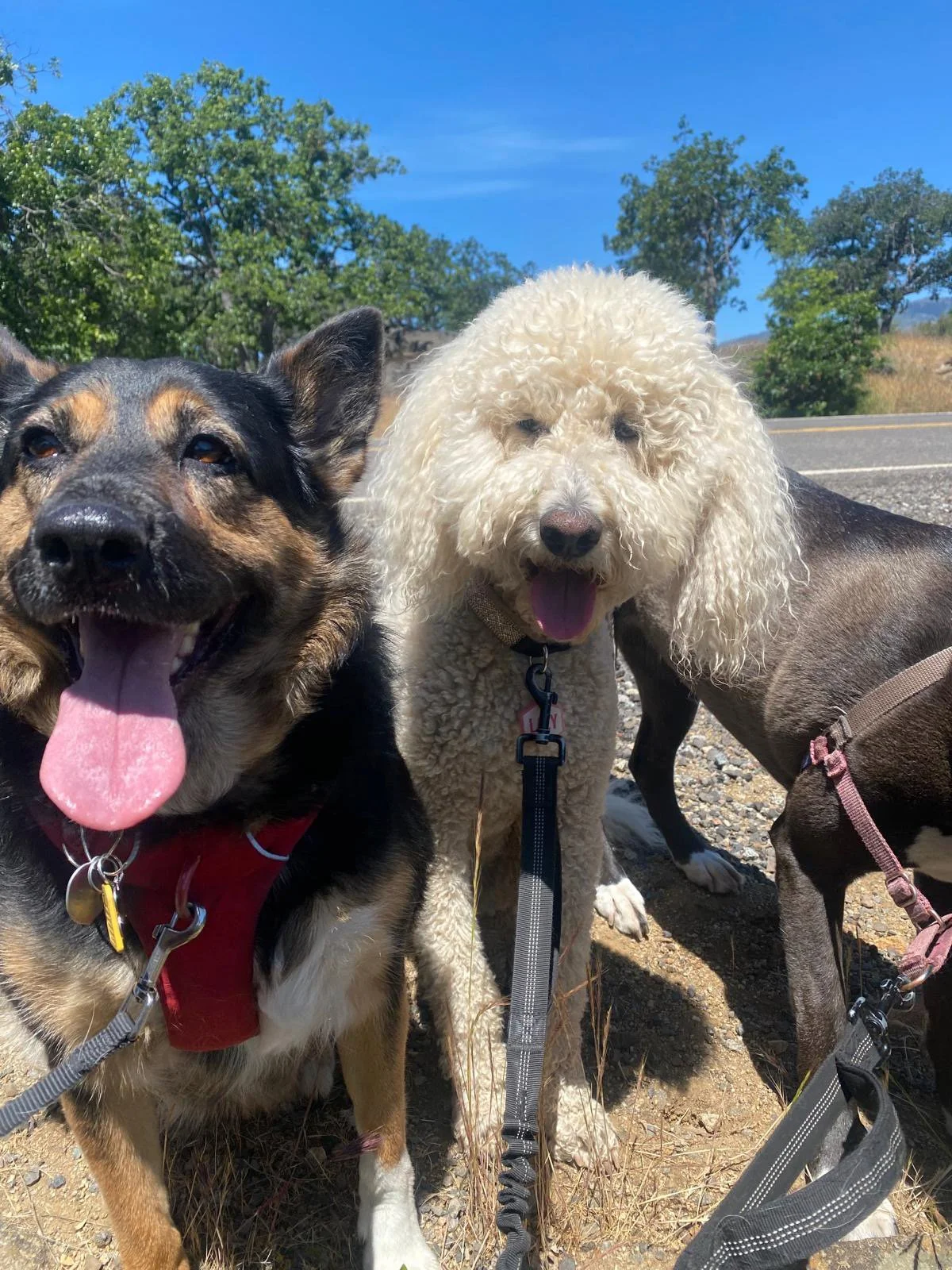 PHOTO-2025-05-22-16-46-10 2.jpeg