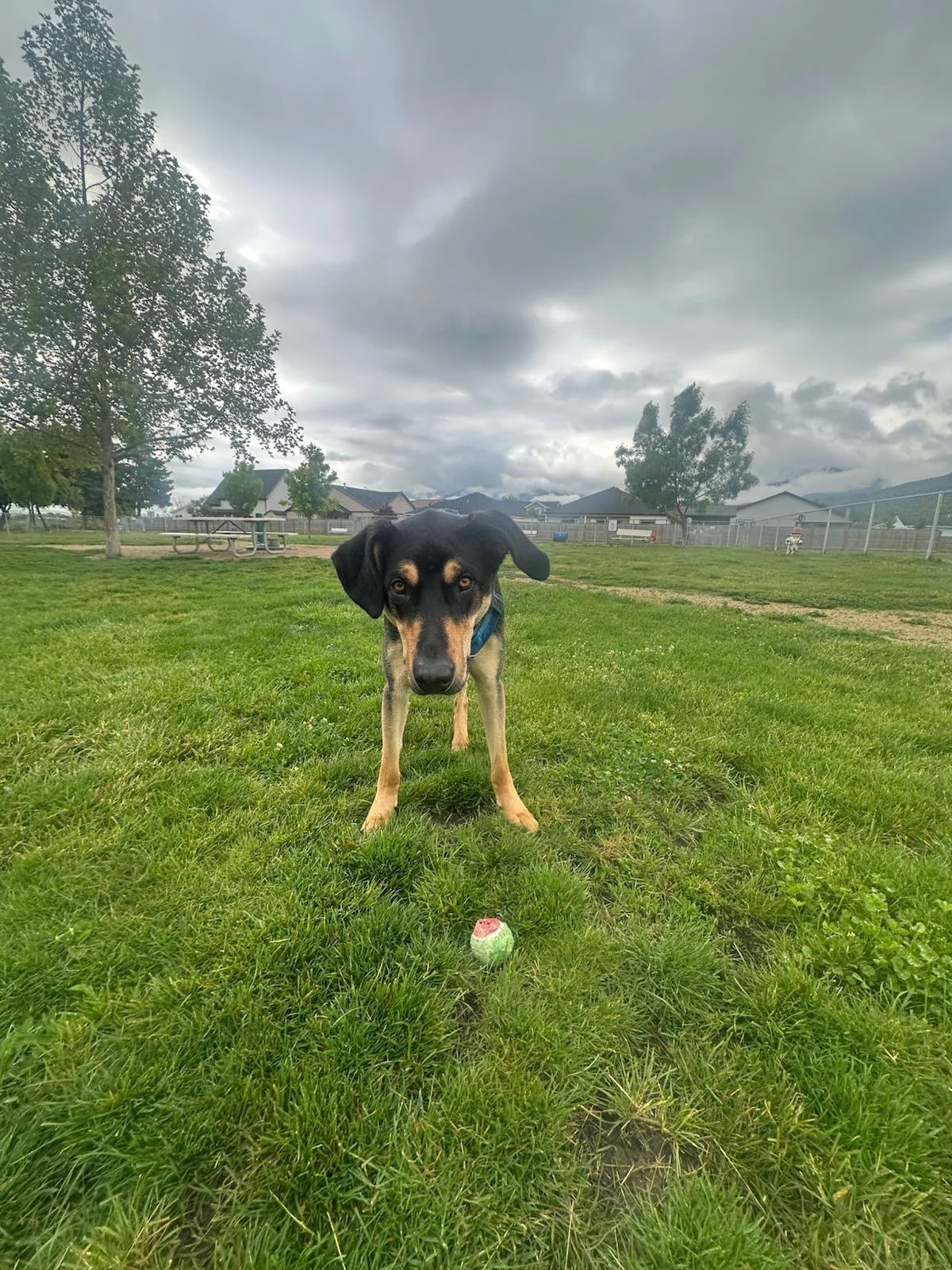 PHOTO-2025-05-19-16-47-23 2.jpeg