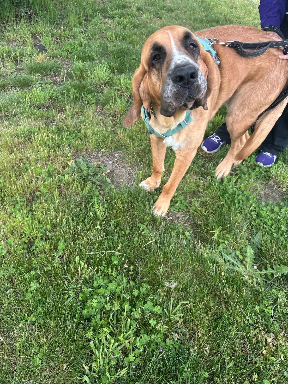 PHOTO-2025-04-30-17-33-45 5.jpeg