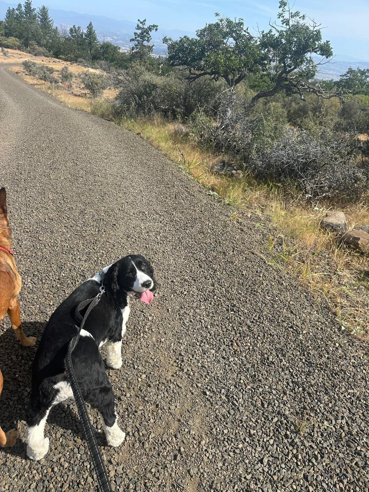 PHOTO-2025-06-12-15-13-49 2.jpeg