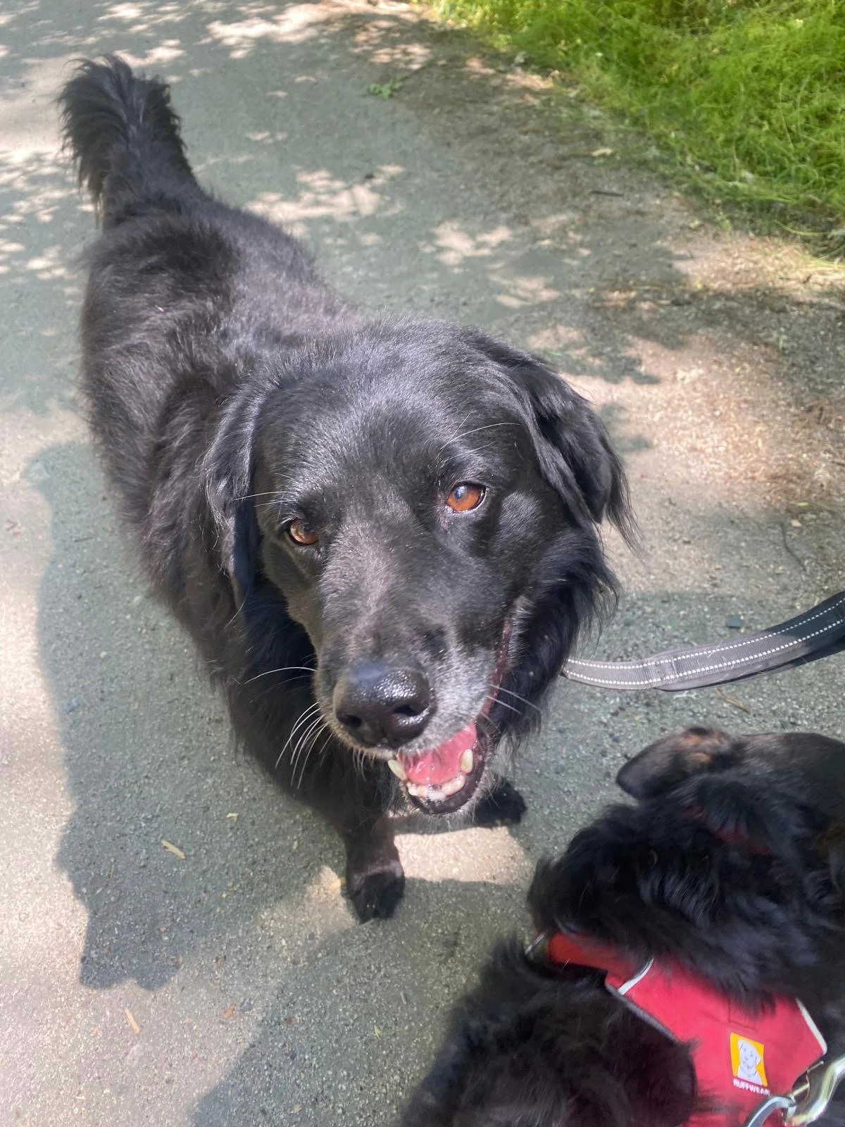 PHOTO-2025-06-04-16-48-48 6.jpeg