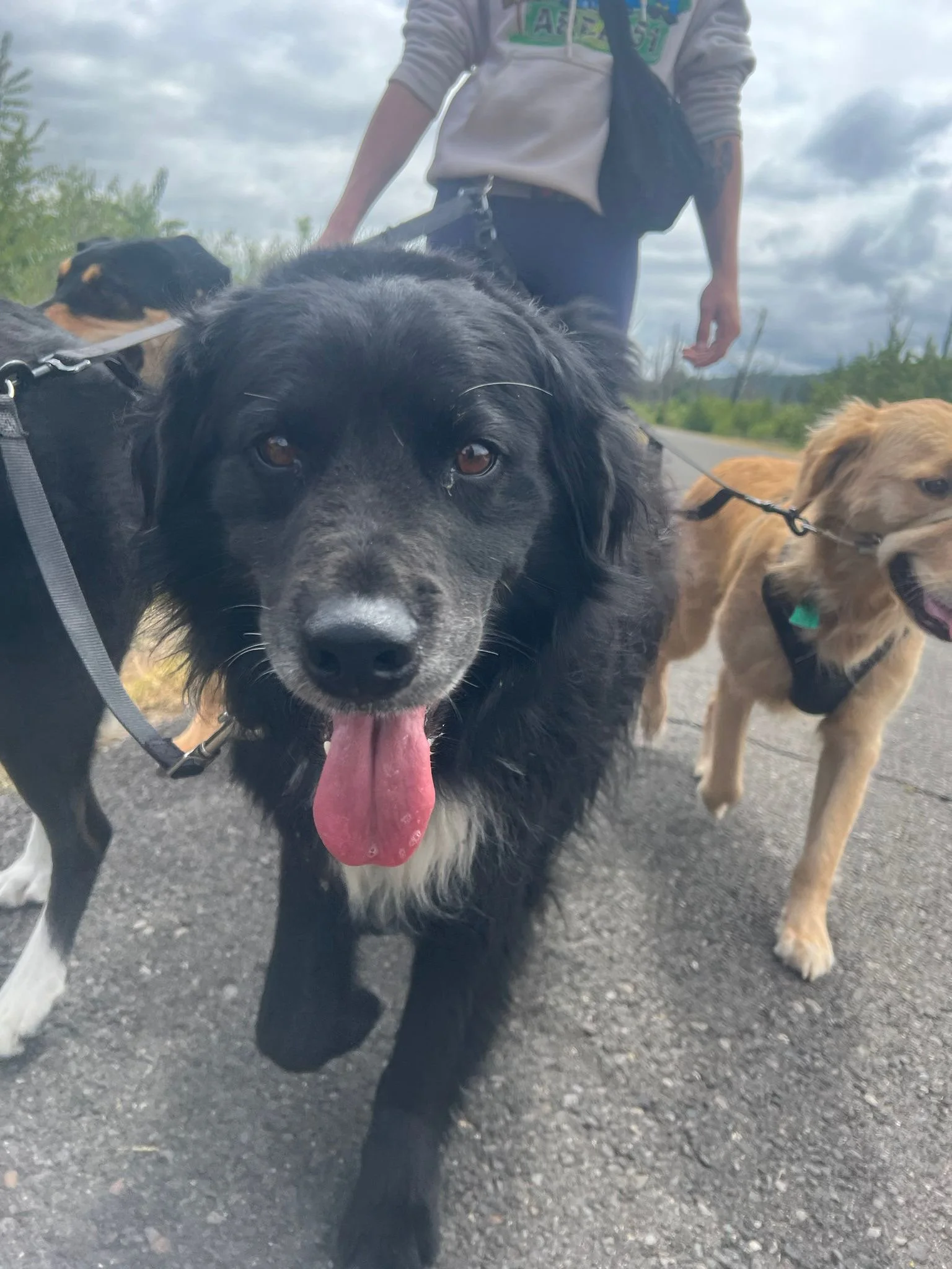 PHOTO-2025-05-15-15-39-10 3.jpeg