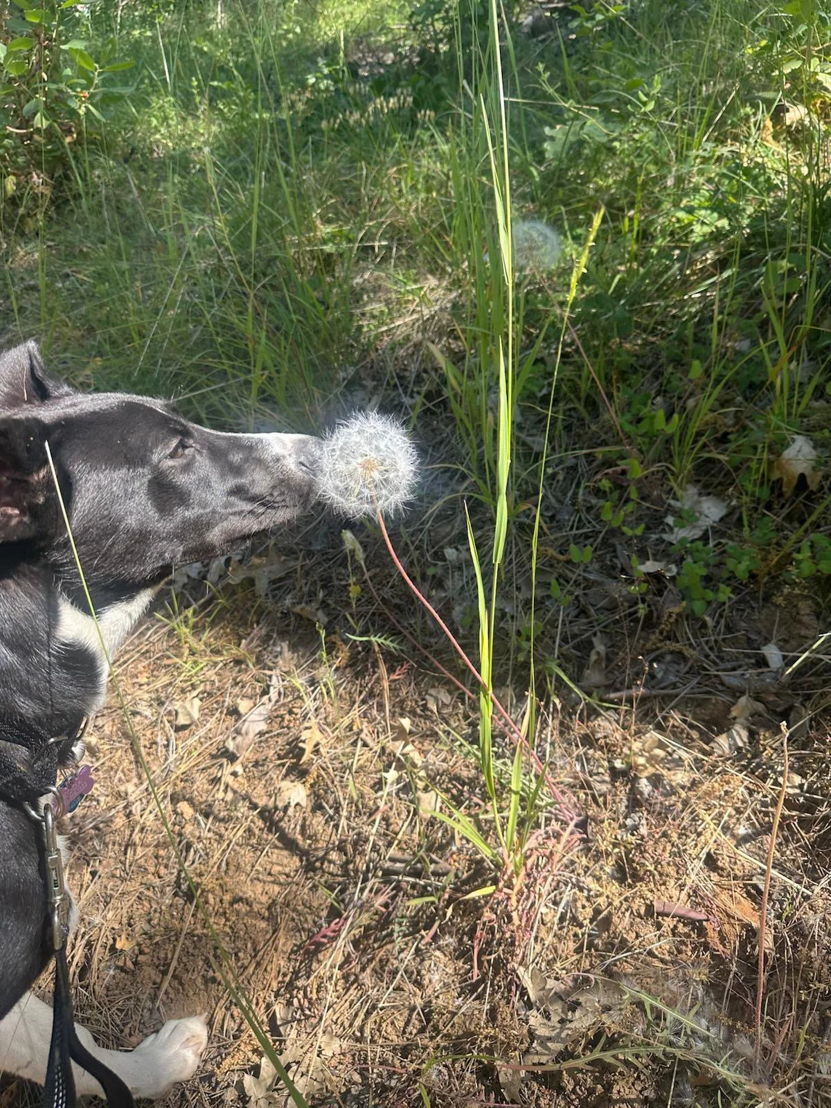 PHOTO-2025-06-11-16-46-50 3.jpeg