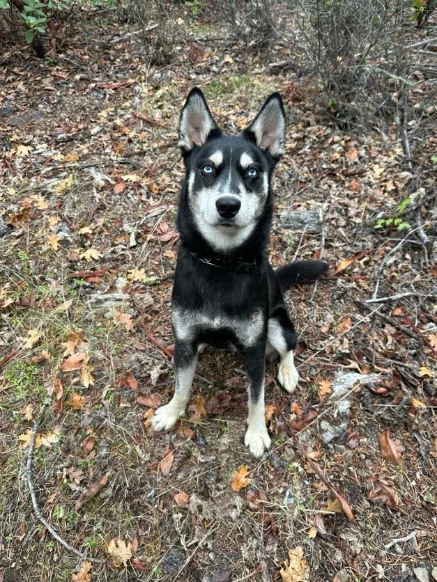 IMG_5869 Copy_Original.JPG