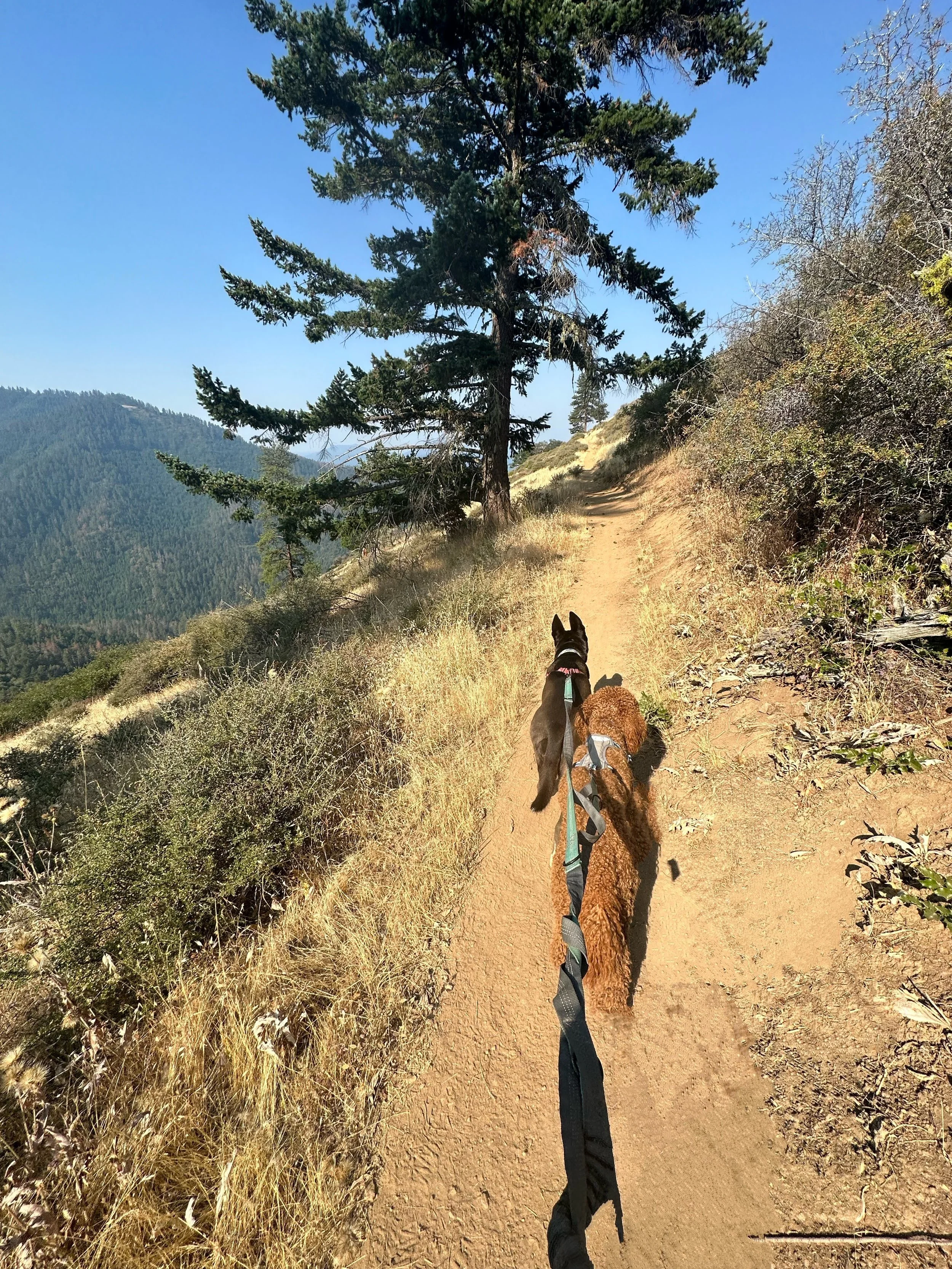 IMG_3103 Copy_Original.JPG