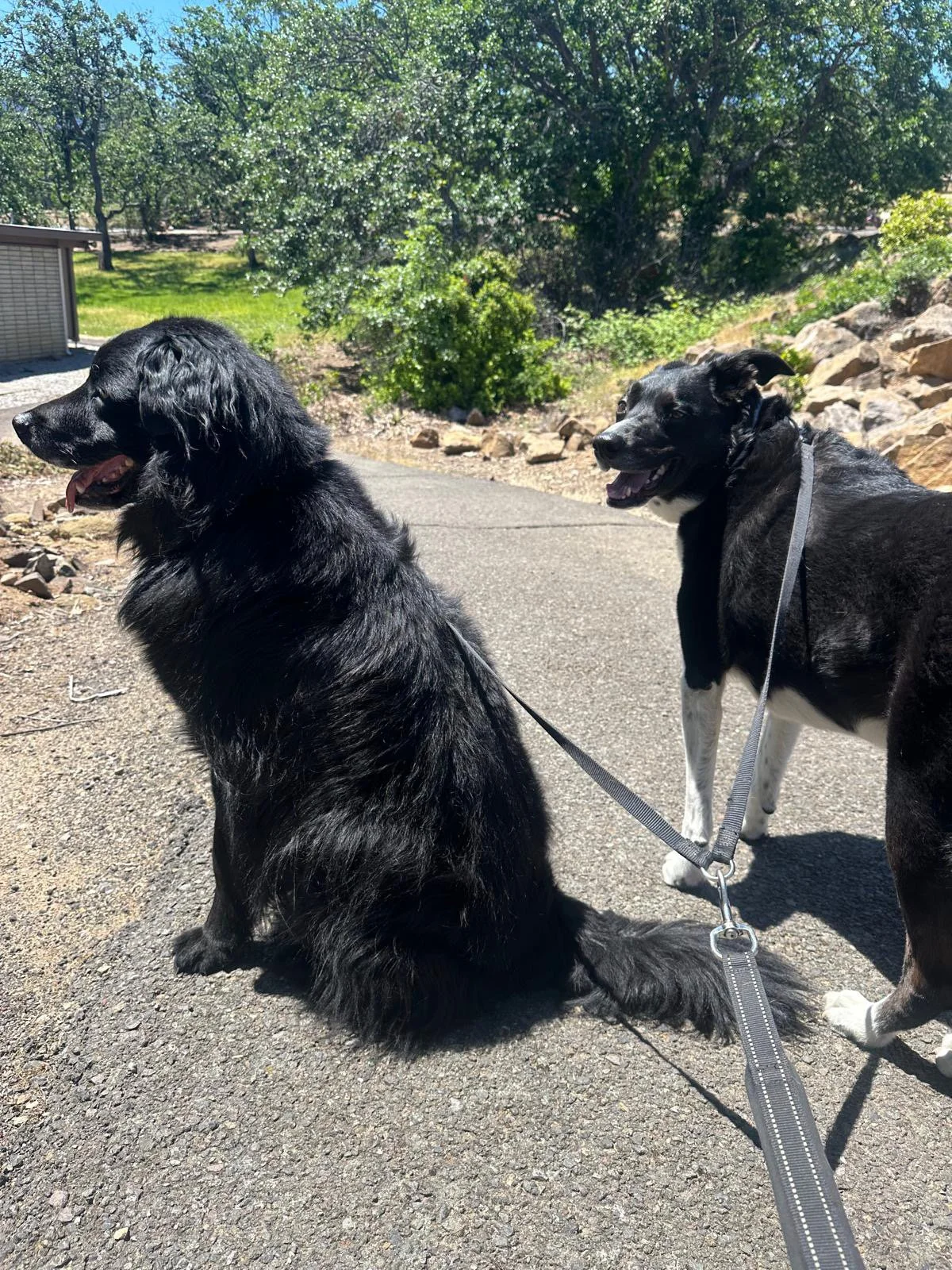 PHOTO-2025-05-22-16-46-11 10.jpeg