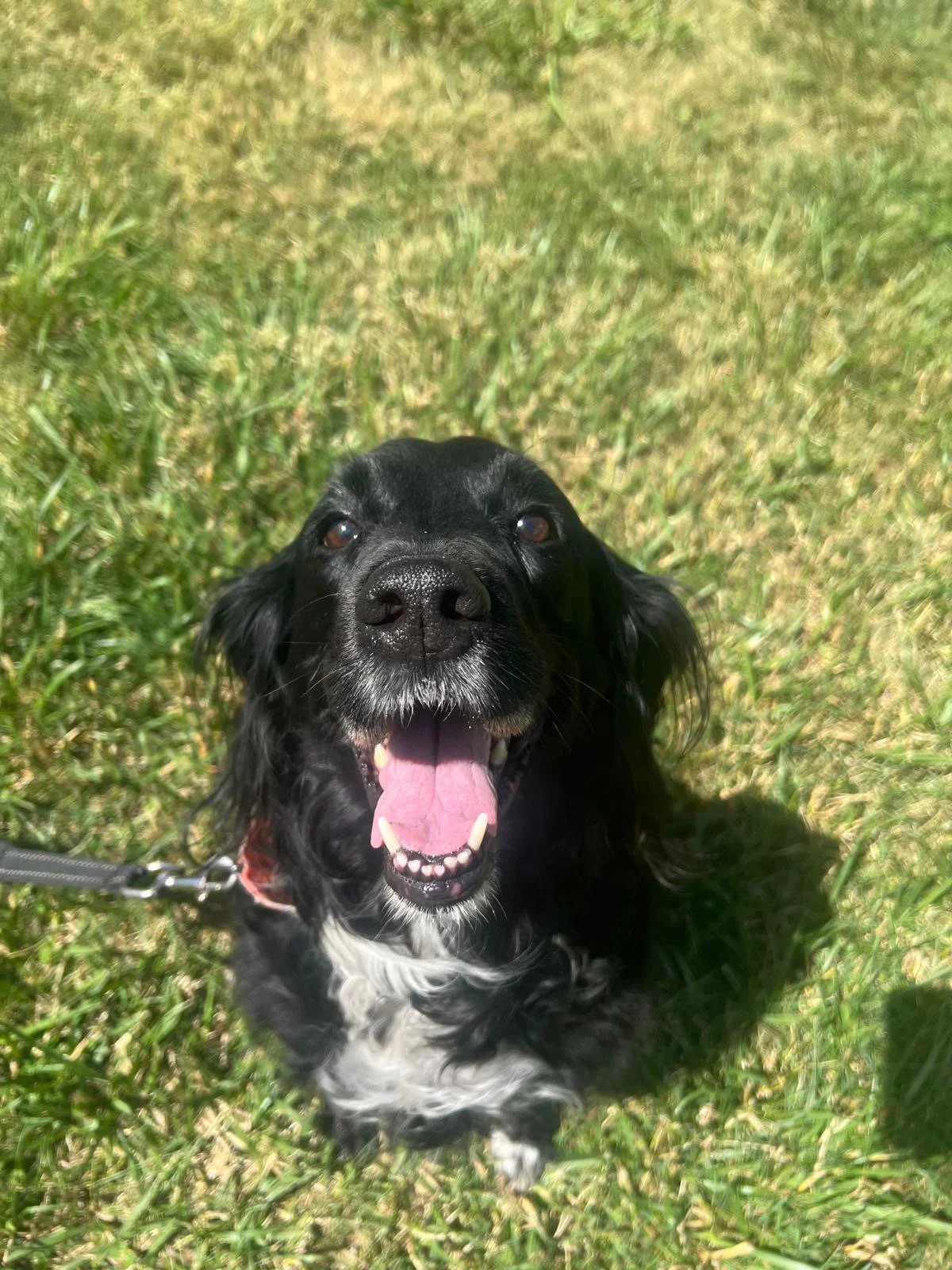 PHOTO-2025-05-20-12-13-41 10.jpeg