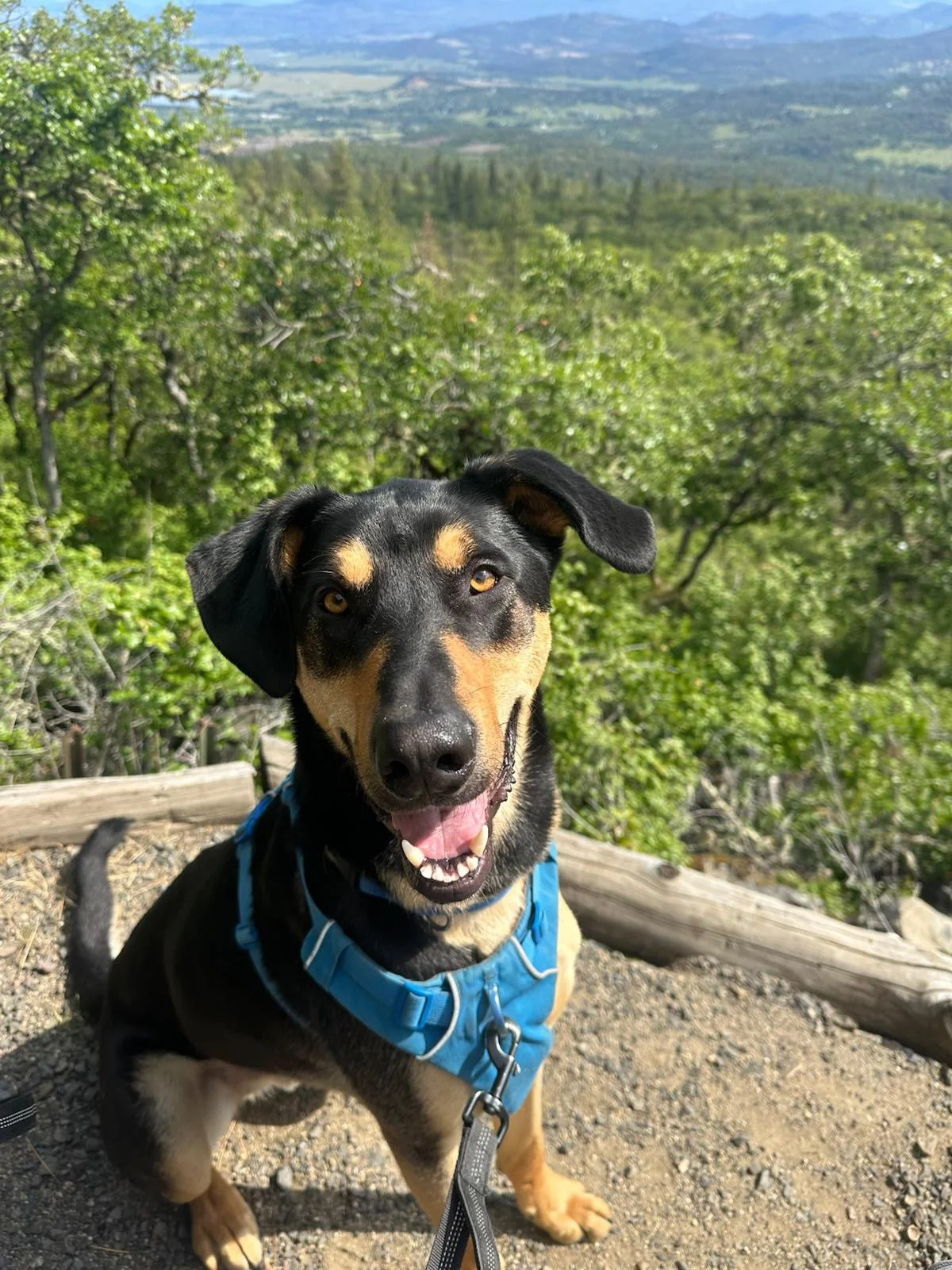 PHOTO-2025-05-16-16-07-21 2.jpeg