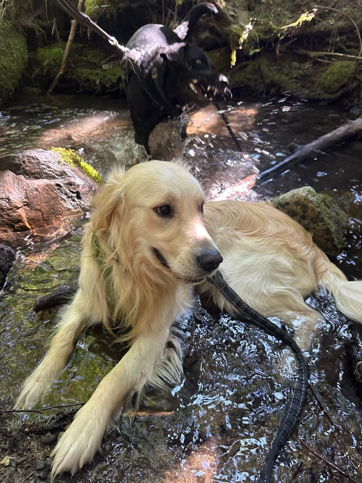 PHOTO-2025-06-09-21-50-23 6.jpeg