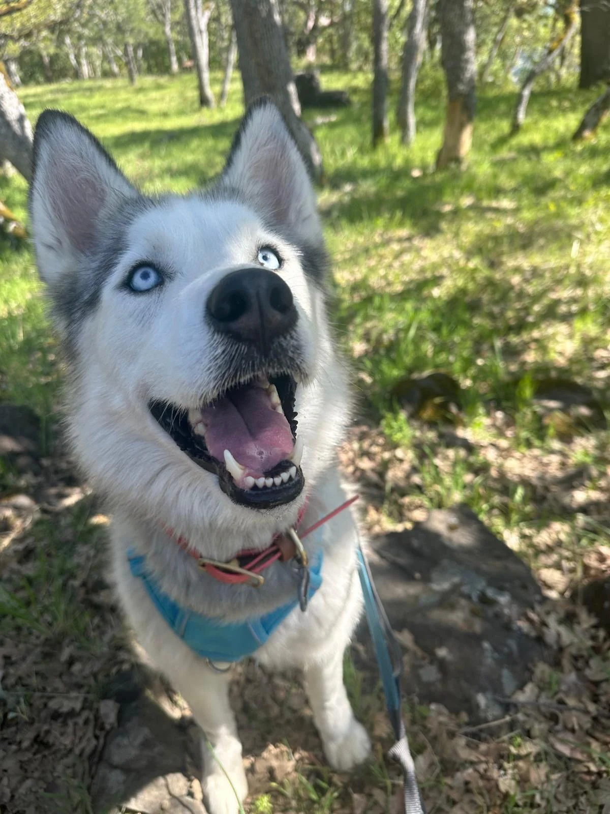 PHOTO-2025-04-30-17-33-10 16.jpeg