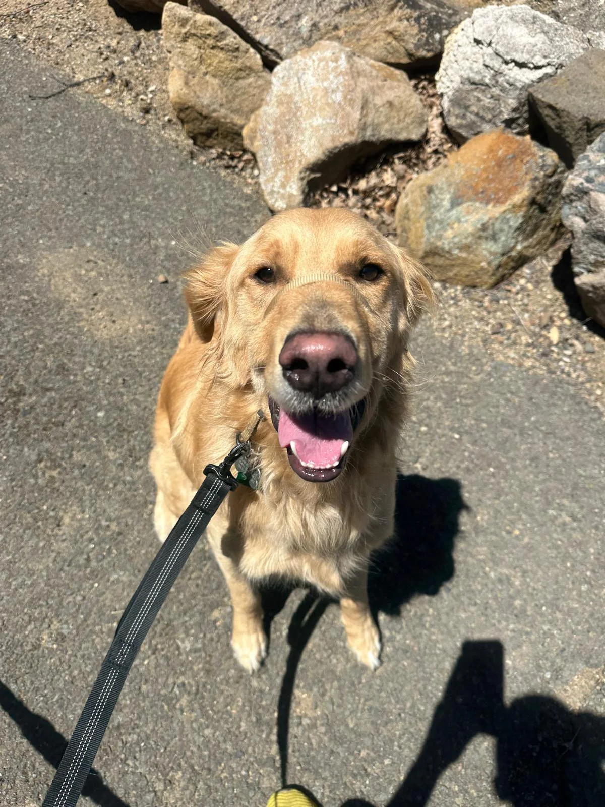 PHOTO-2025-05-22-16-46-11 8.jpeg