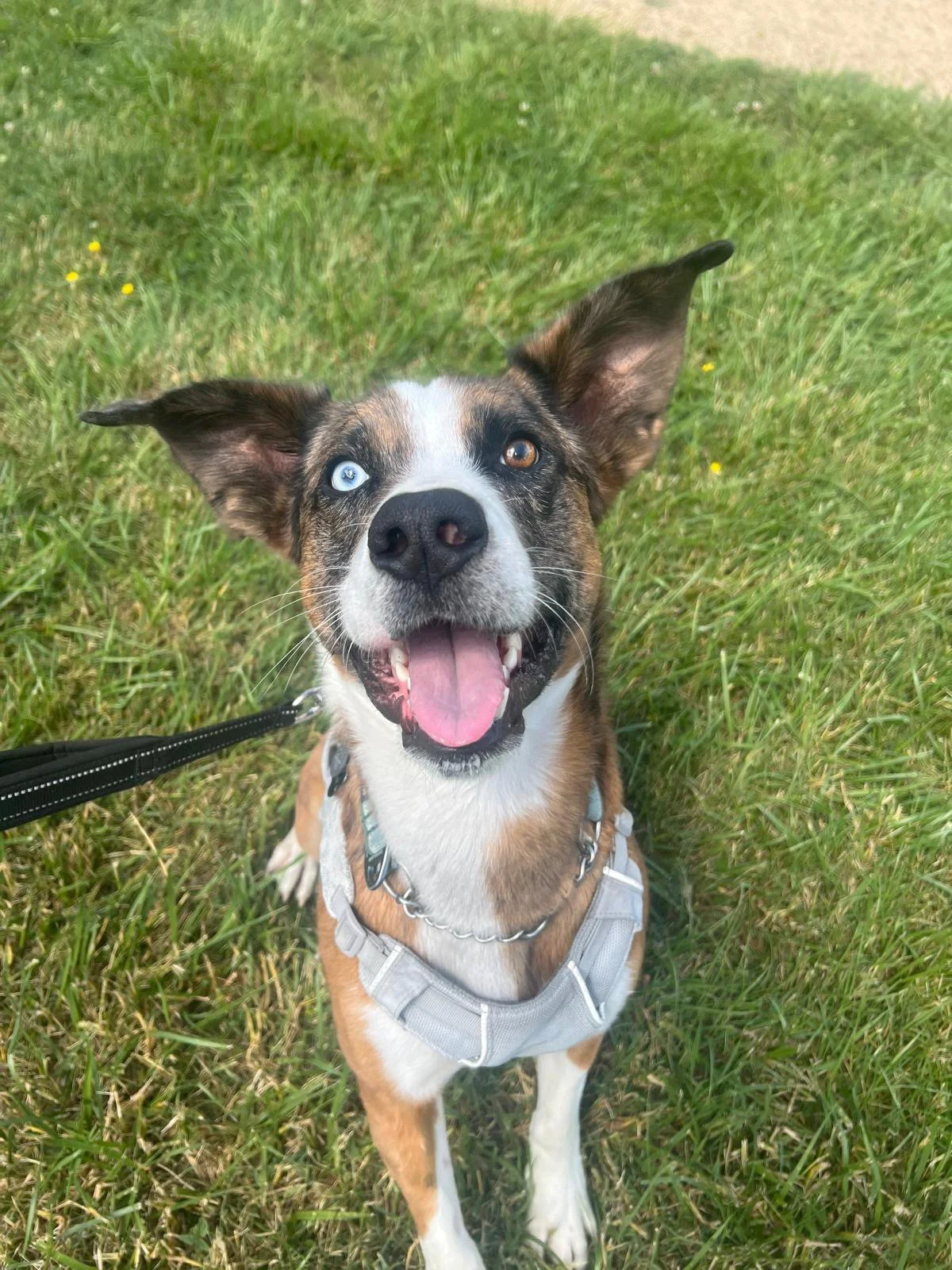 PHOTO-2025-05-20-12-13-41 9.jpeg