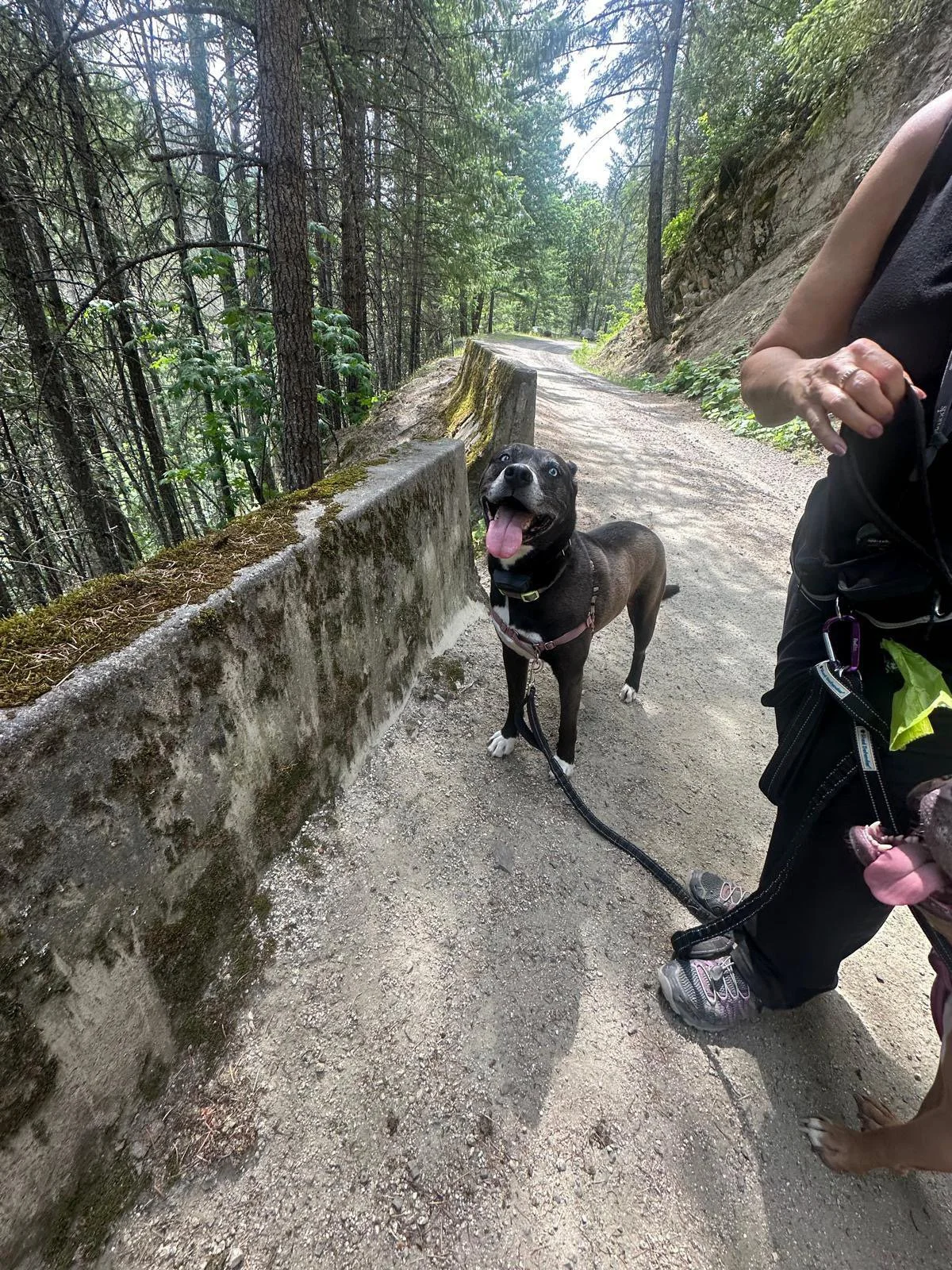 PHOTO-2025-06-06-17-26-23 6.jpeg