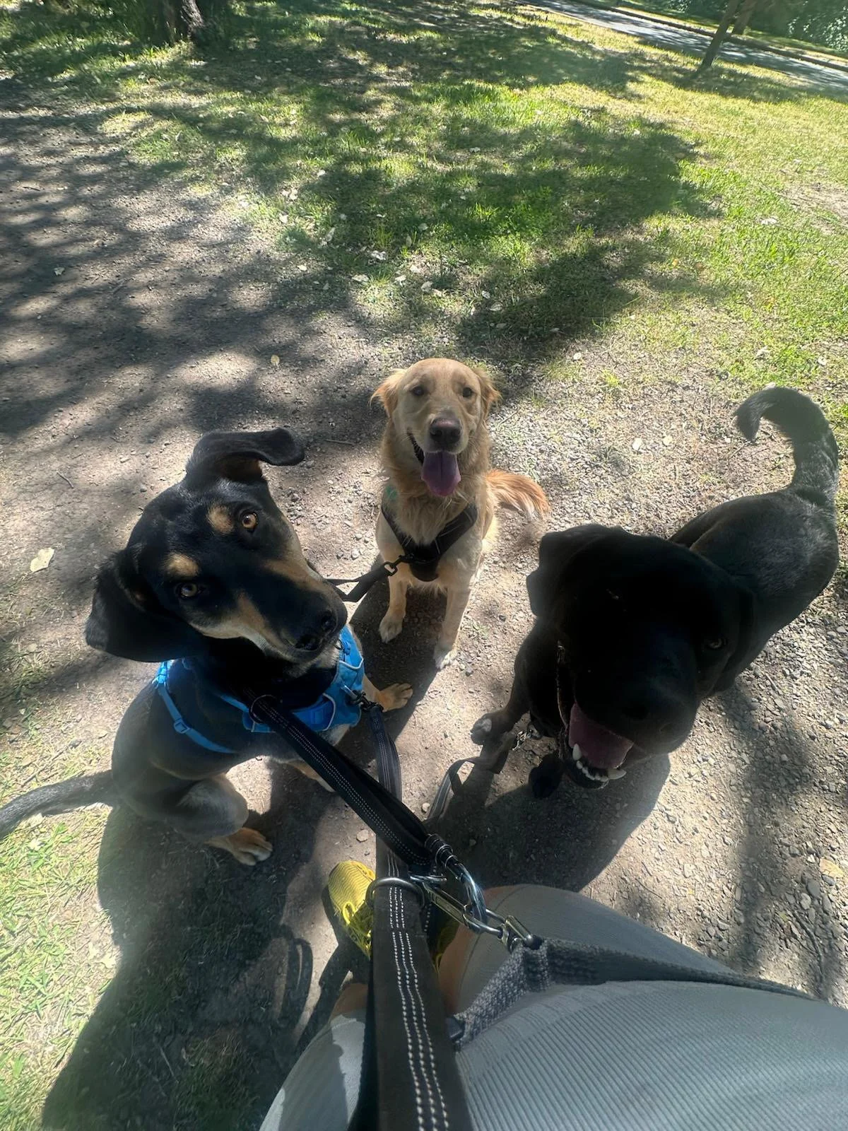 PHOTO-2025-06-02-13-36-00 3.jpeg