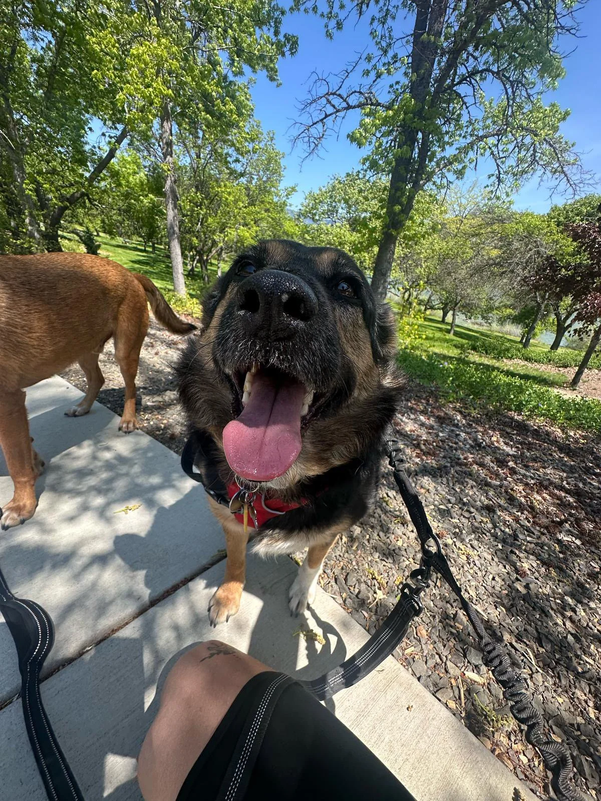 PHOTO-2025-05-01-16-30-52 2.jpeg