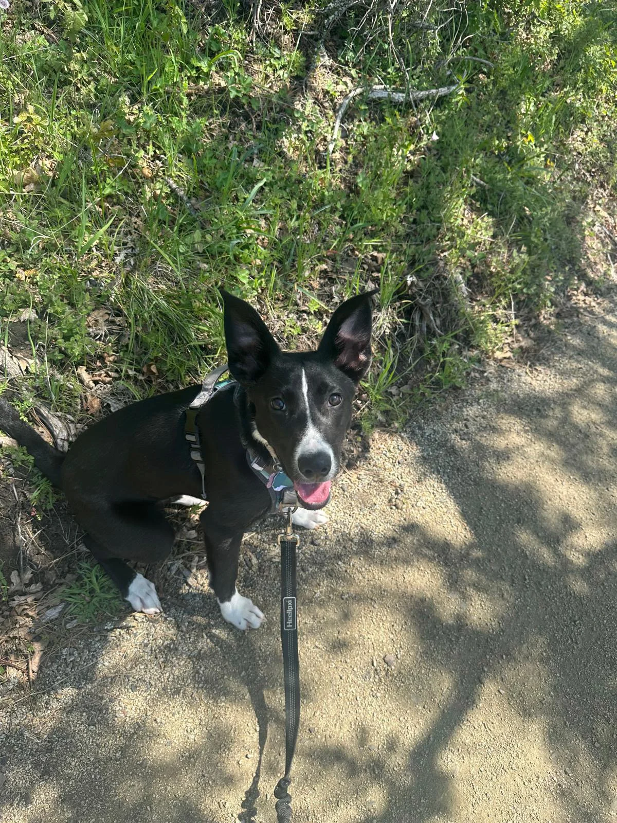 PHOTO-2025-05-03-15-24-12 4.jpeg