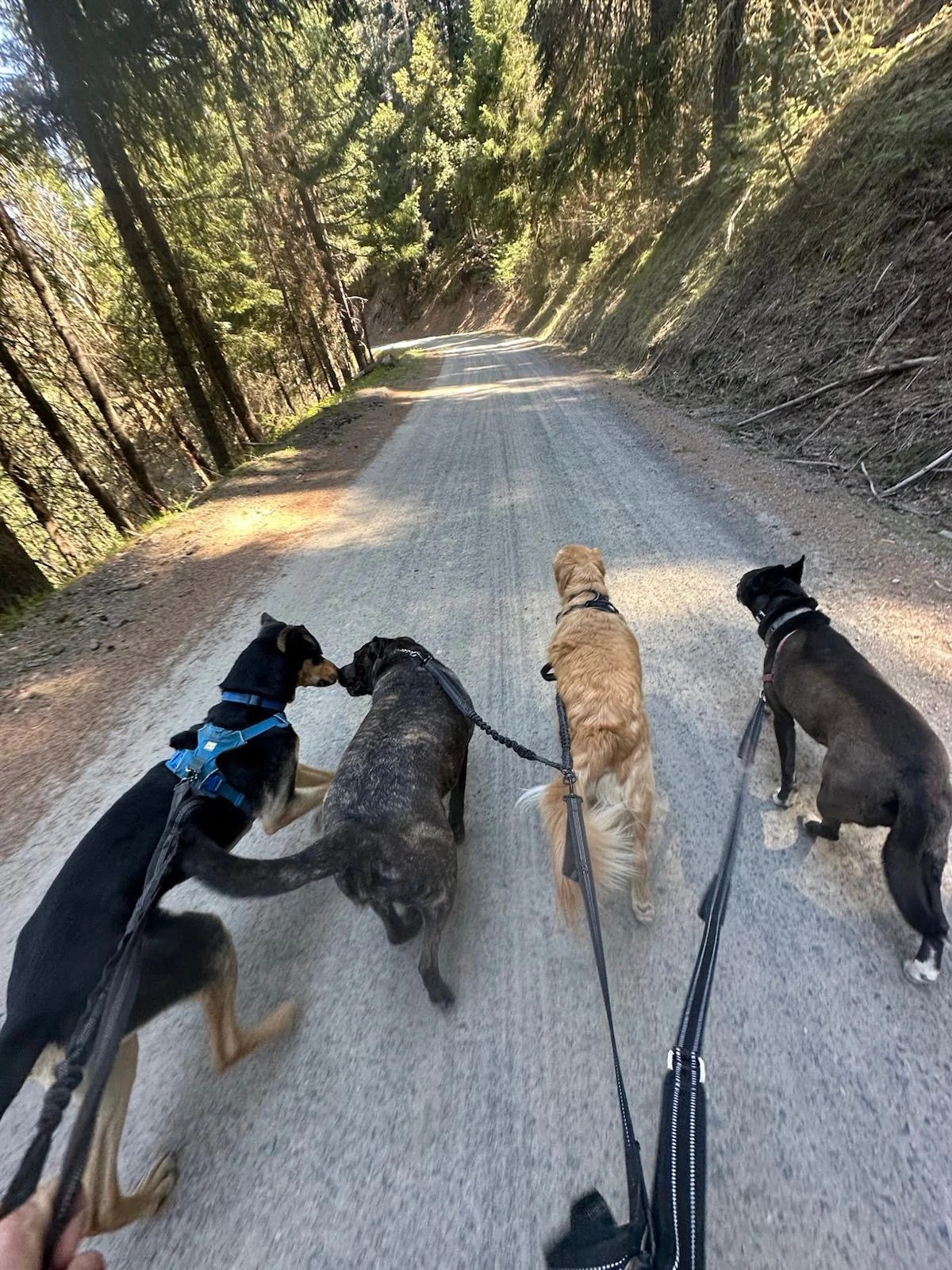 PHOTO-2025-04-30-17-33-10 11.jpeg