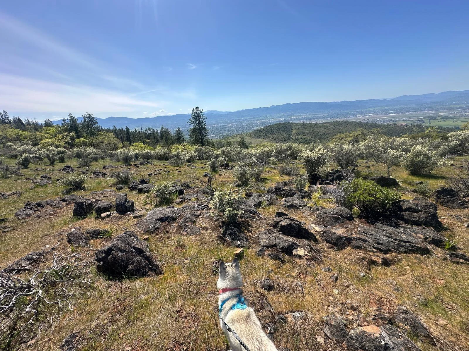 PHOTO-2025-04-30-17-33-01 6.jpeg