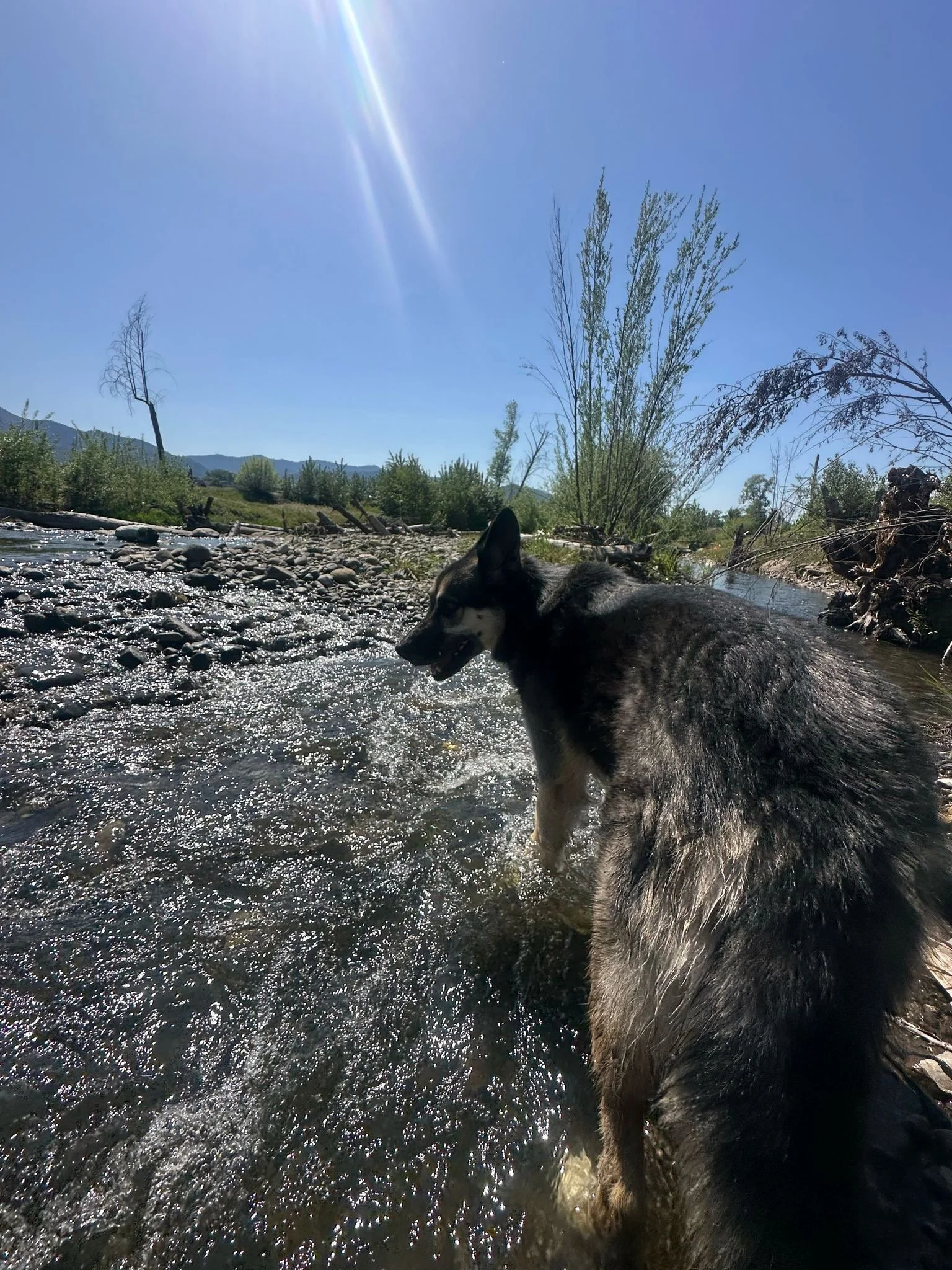 PHOTO-2025-05-01-16-30-58 2.jpeg