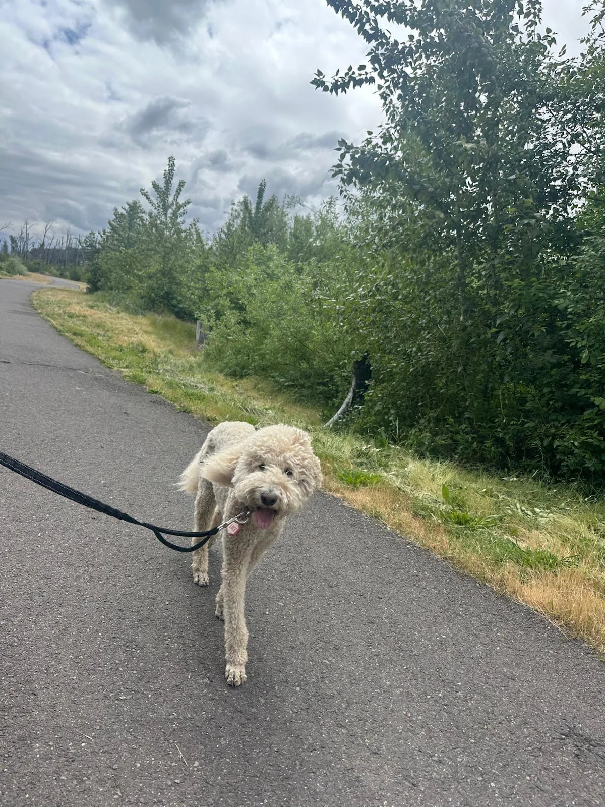 PHOTO-2025-05-15-15-39-53 5.jpeg