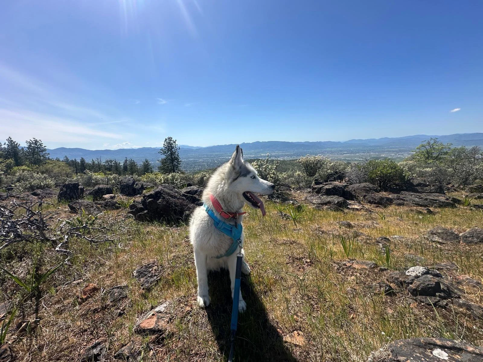 PHOTO-2025-04-30-17-33-01 7.jpeg