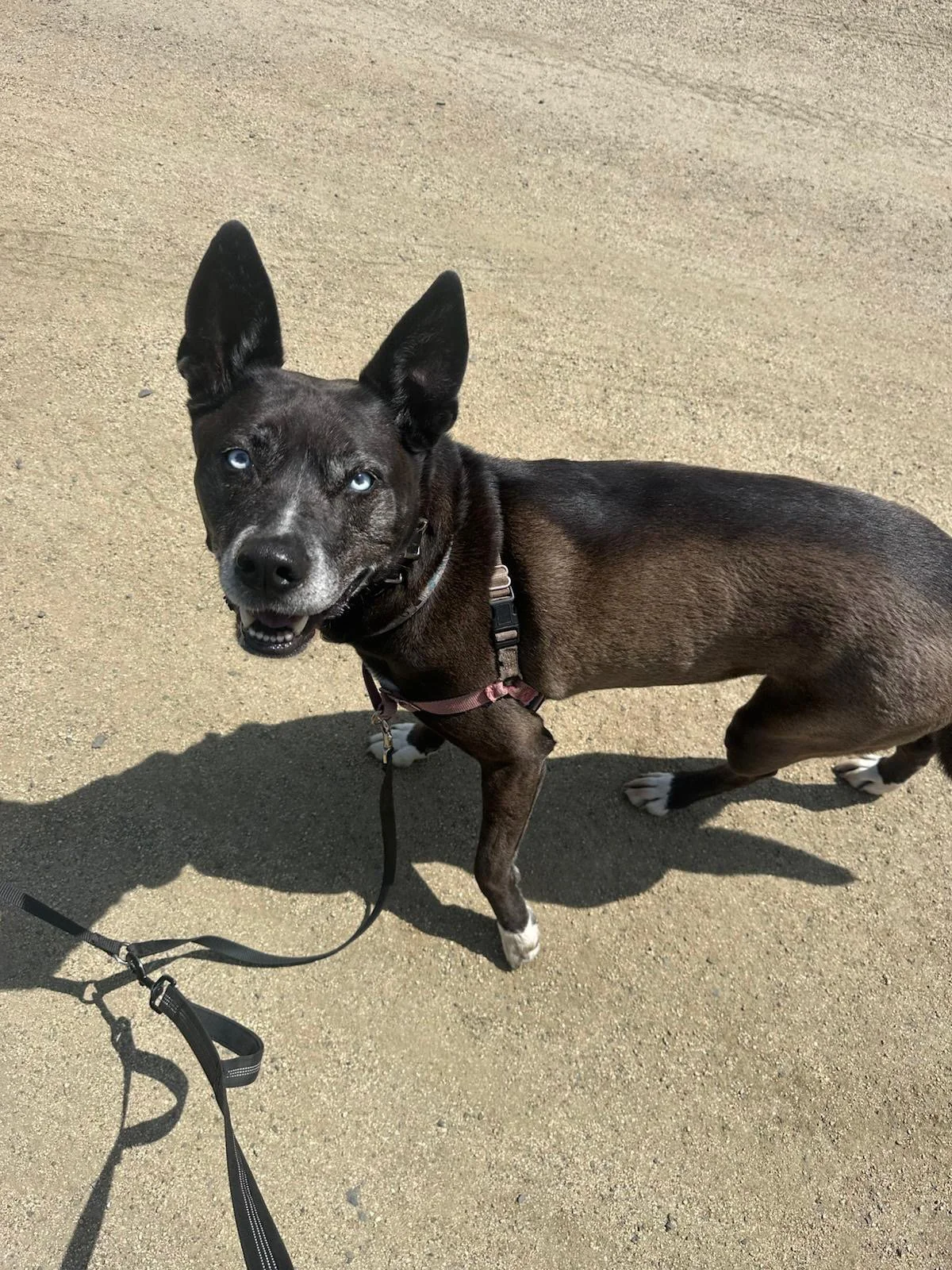 PHOTO-2025-05-16-16-07-21 3.jpeg