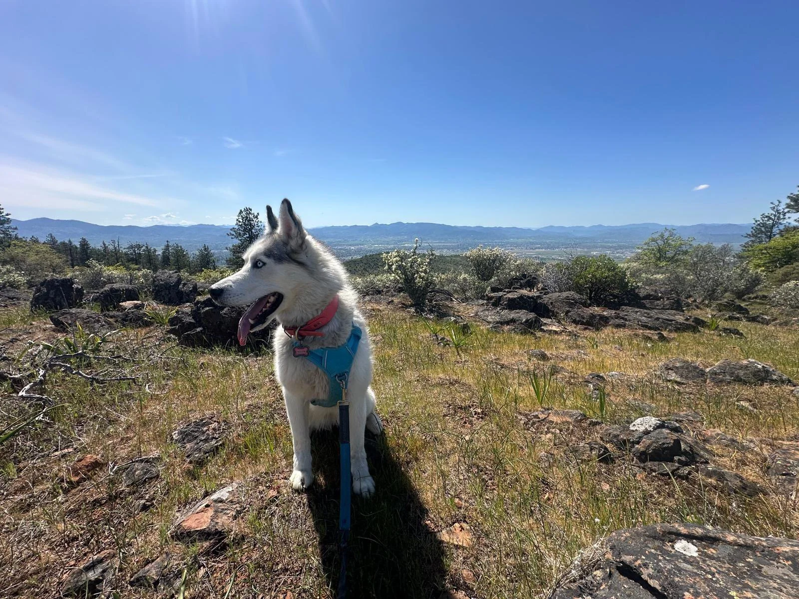 PHOTO-2025-04-30-17-33-01 12.jpeg