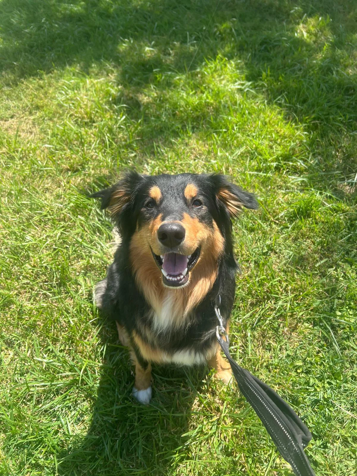 PHOTO-2025-05-20-12-13-41 11.jpeg