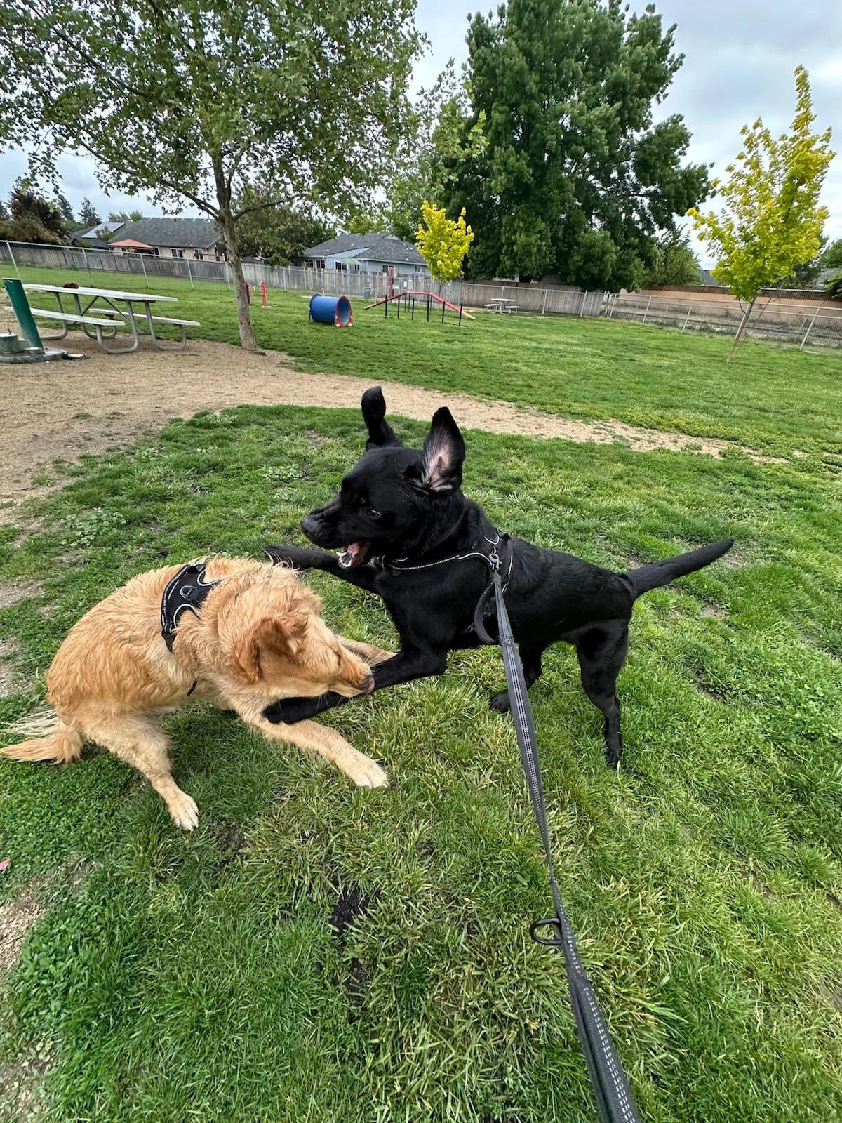 PHOTO-2025-05-19-16-47-23 11.jpeg