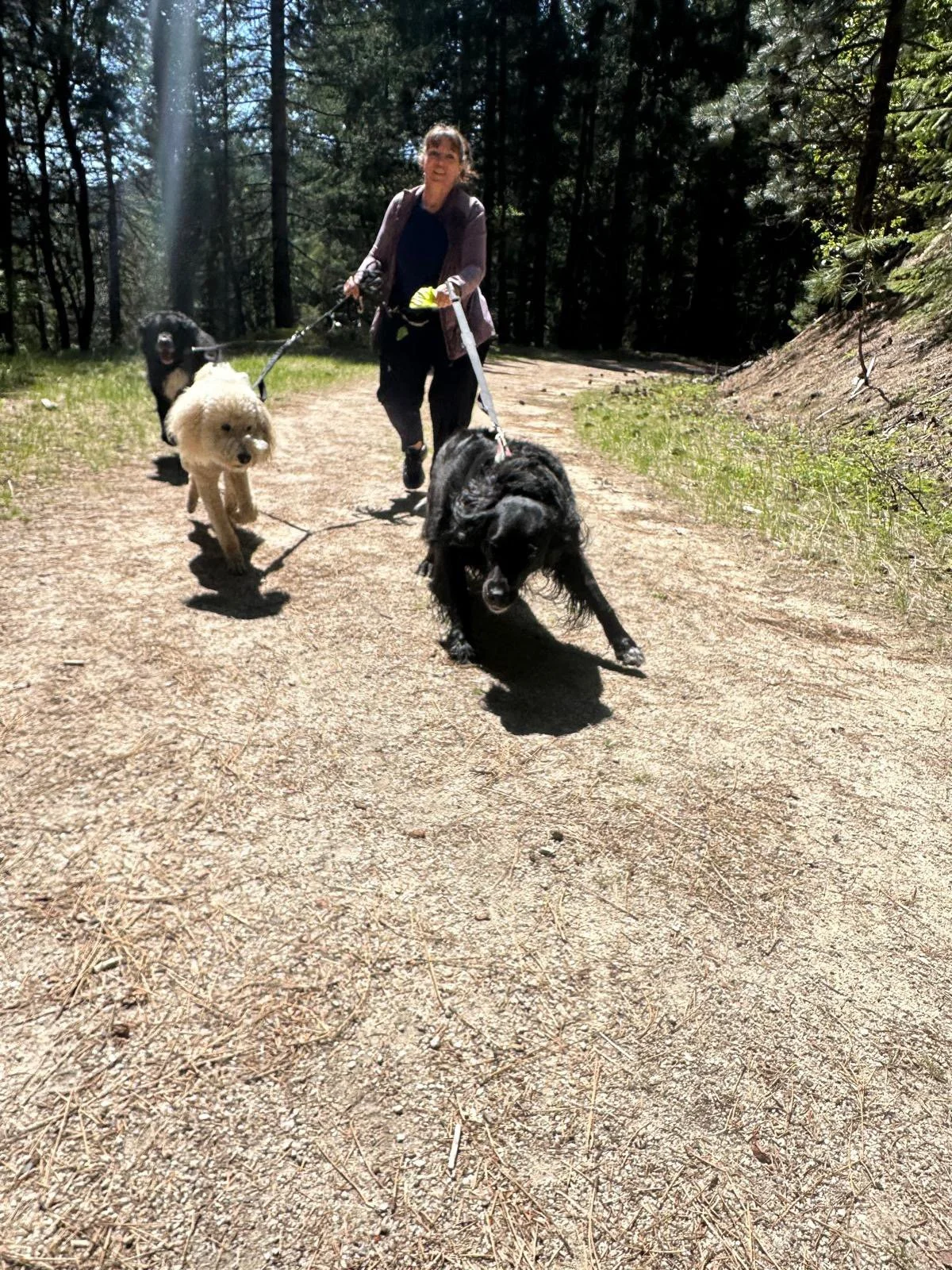 PHOTO-2025-05-03-15-24-11 13.jpeg