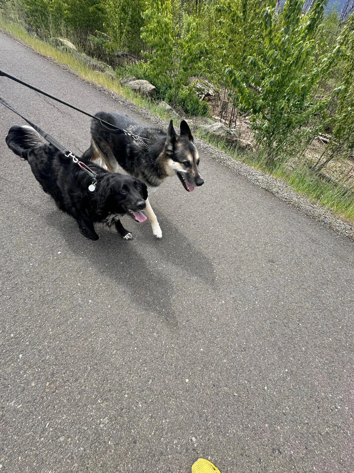 PHOTO-2025-04-30-17-33-45 4.jpeg