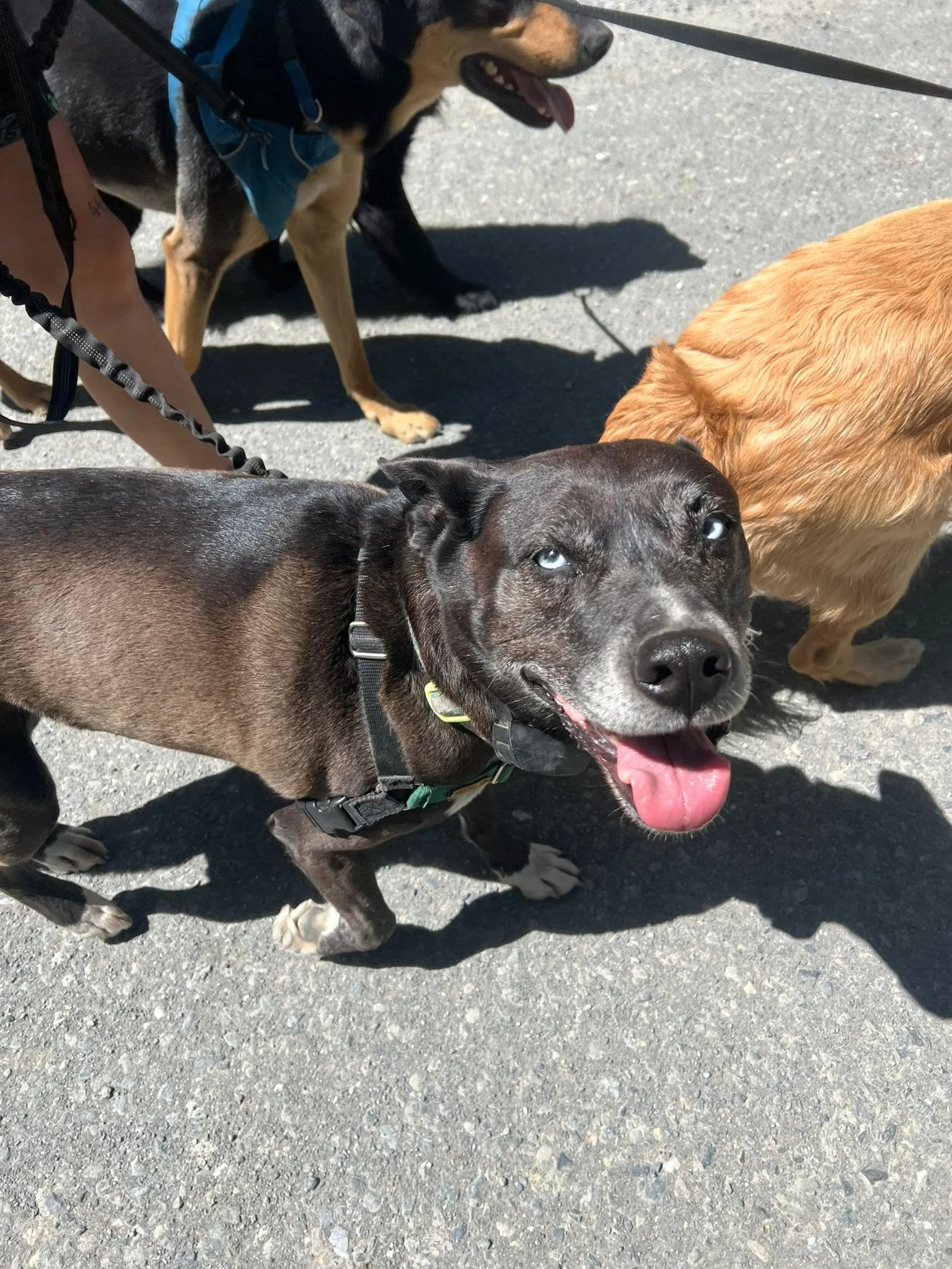 PHOTO-2025-05-07-16-46-33 5.jpeg