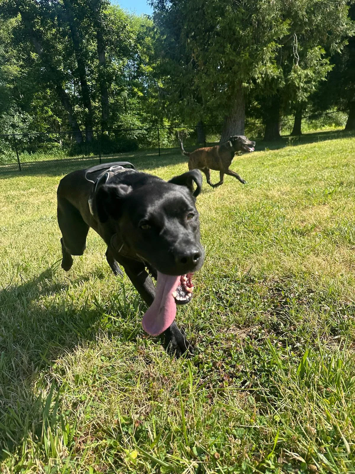 PHOTO-2025-06-05-15-42-22 2.jpeg