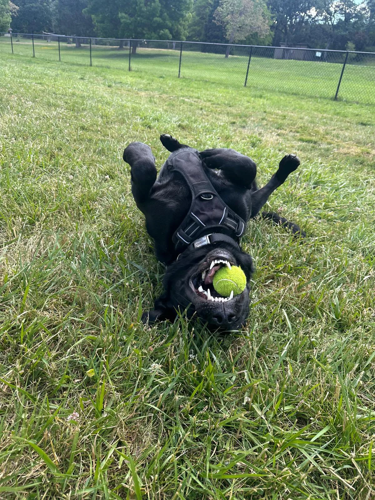 PHOTO-2025-05-20-12-13-41 14.jpeg