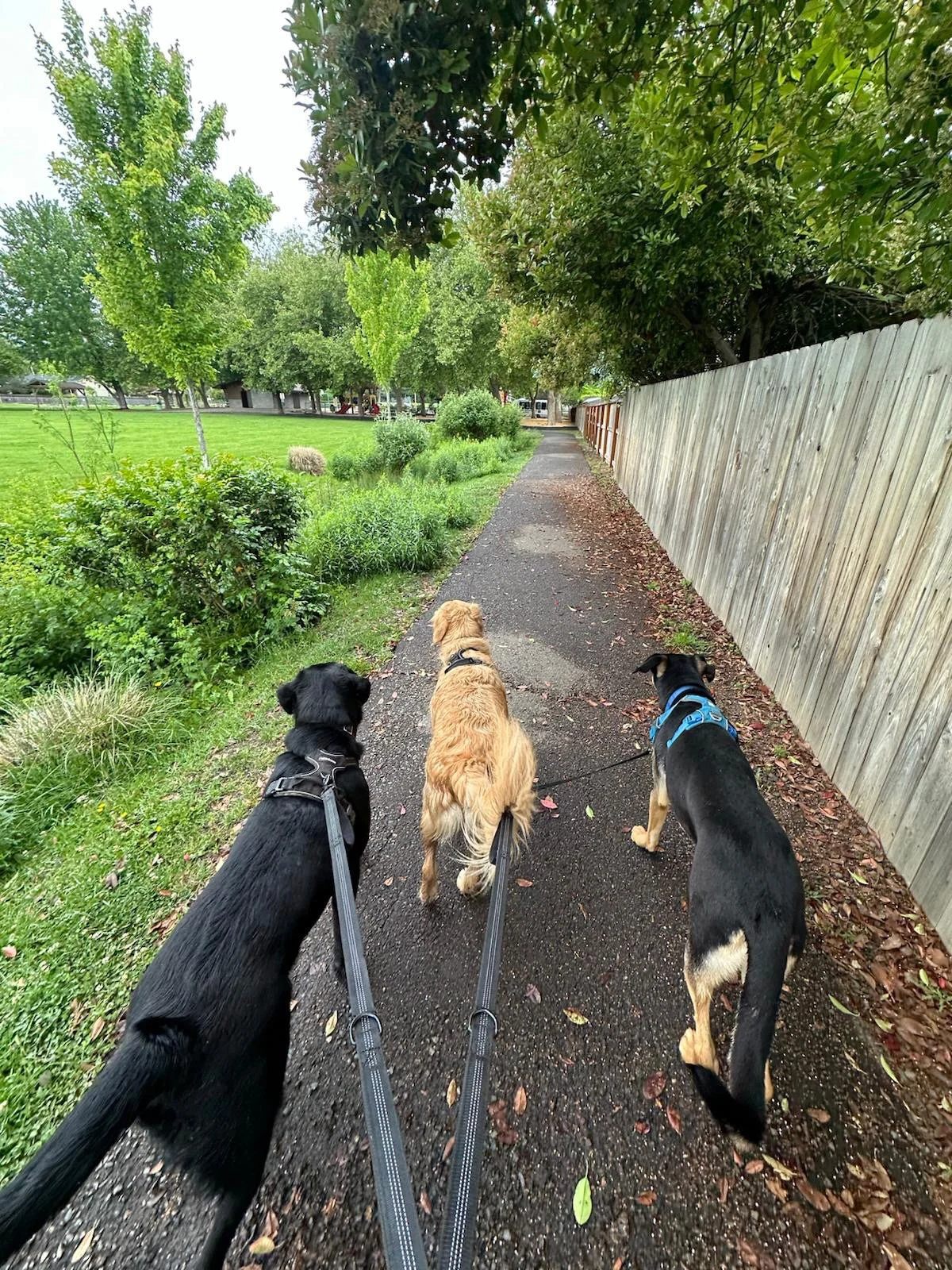 PHOTO-2025-05-19-16-47-23 13.jpeg