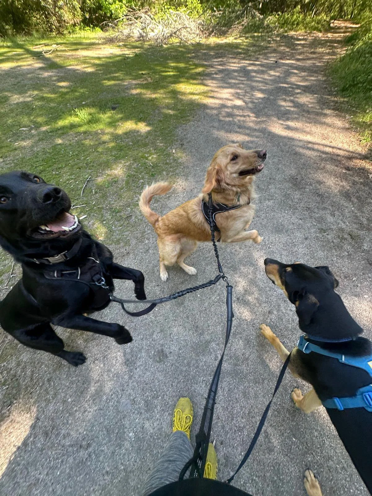 PHOTO-2025-05-05-16-48-21 2.jpeg