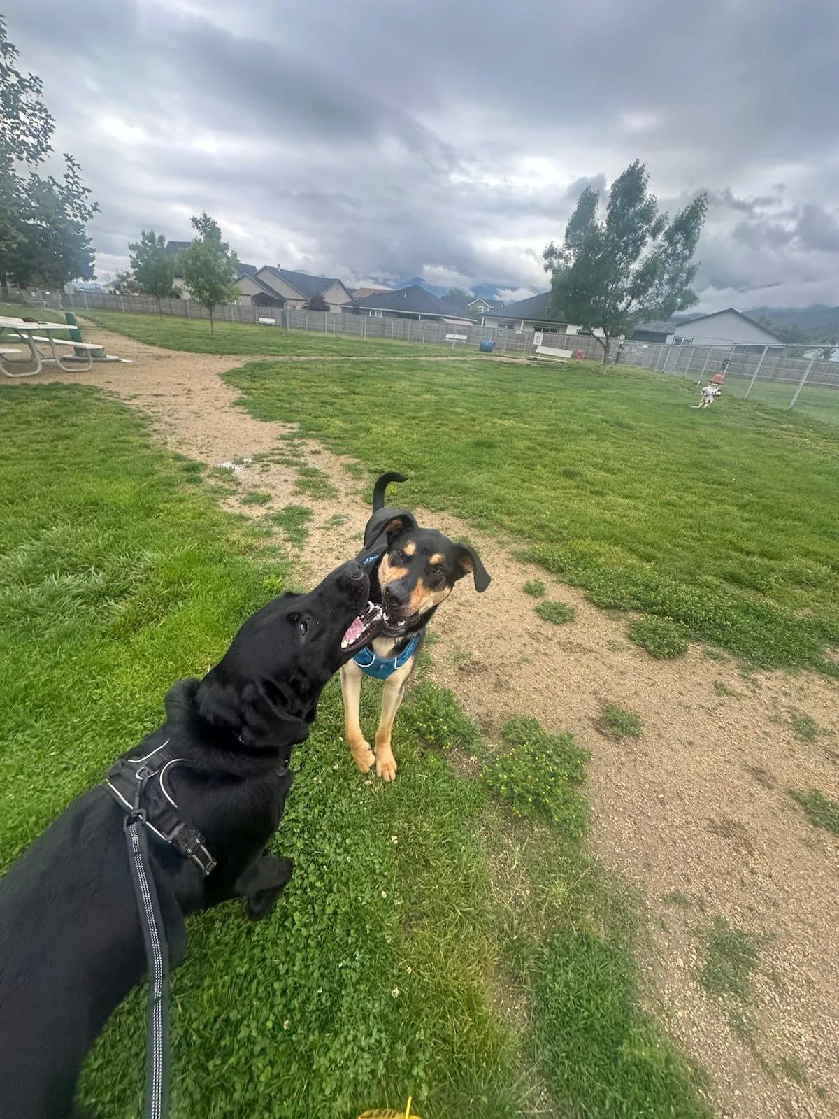 PHOTO-2025-05-19-16-47-23 8.jpeg