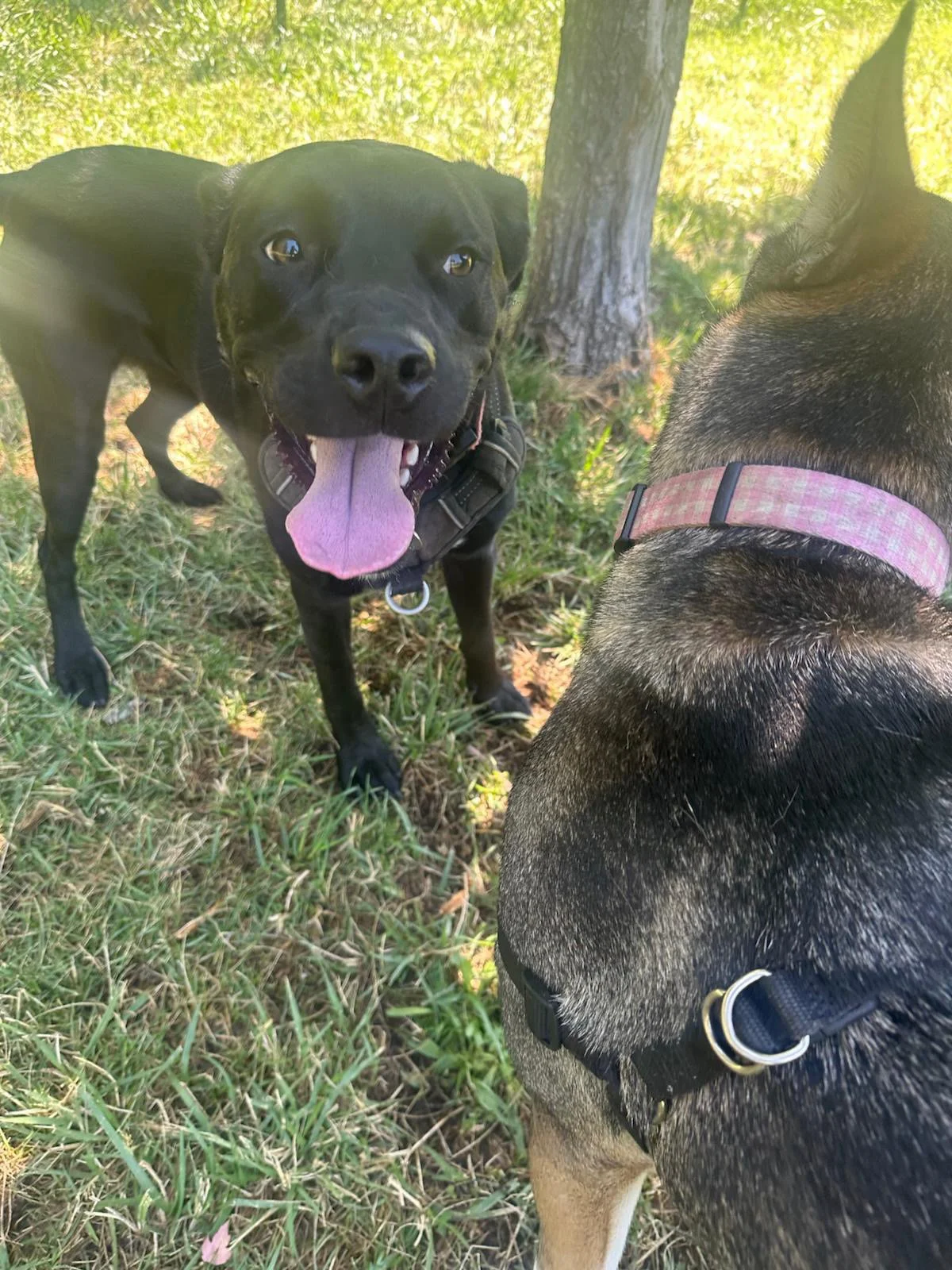 PHOTO-2025-06-05-15-42-22 11.jpeg