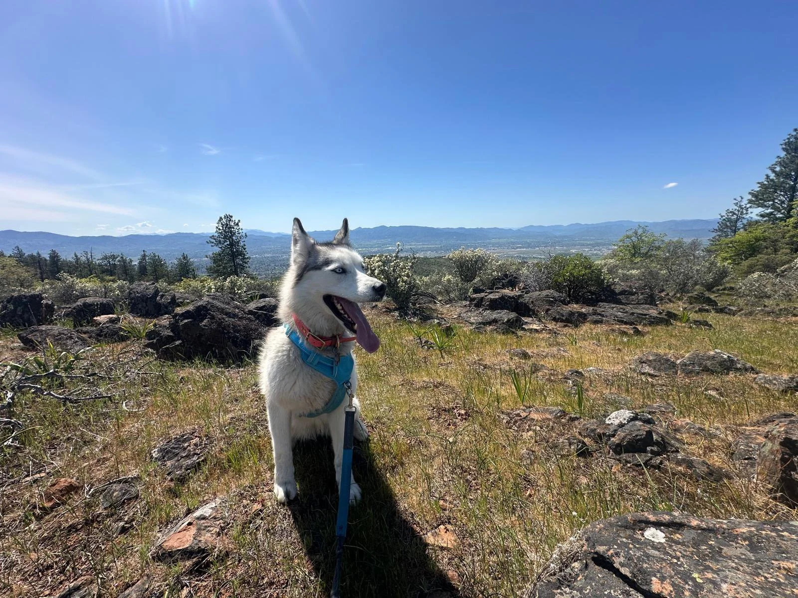 PHOTO-2025-04-30-17-33-01 10.jpeg