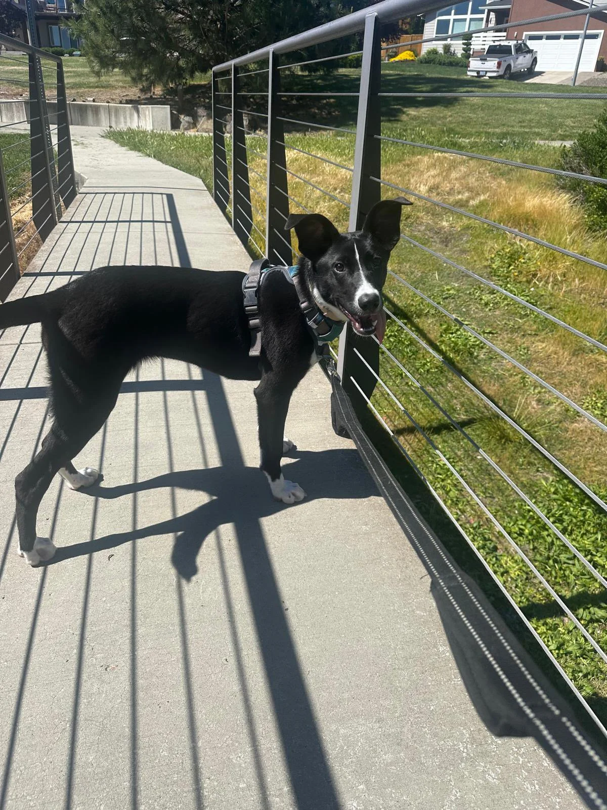 PHOTO-2025-05-06-16-14-13 5.jpeg