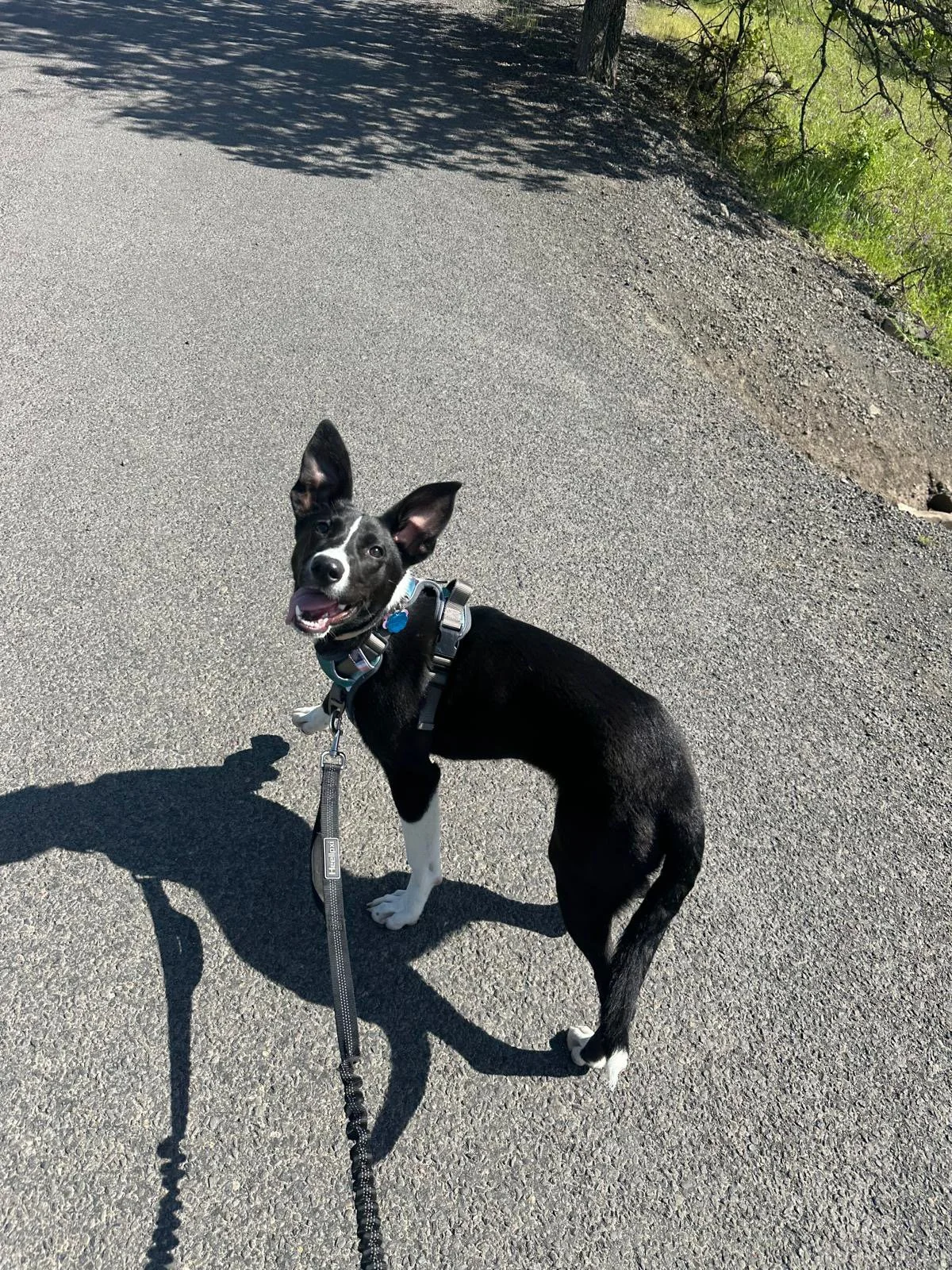 PHOTO-2025-05-03-15-24-12 8.jpeg