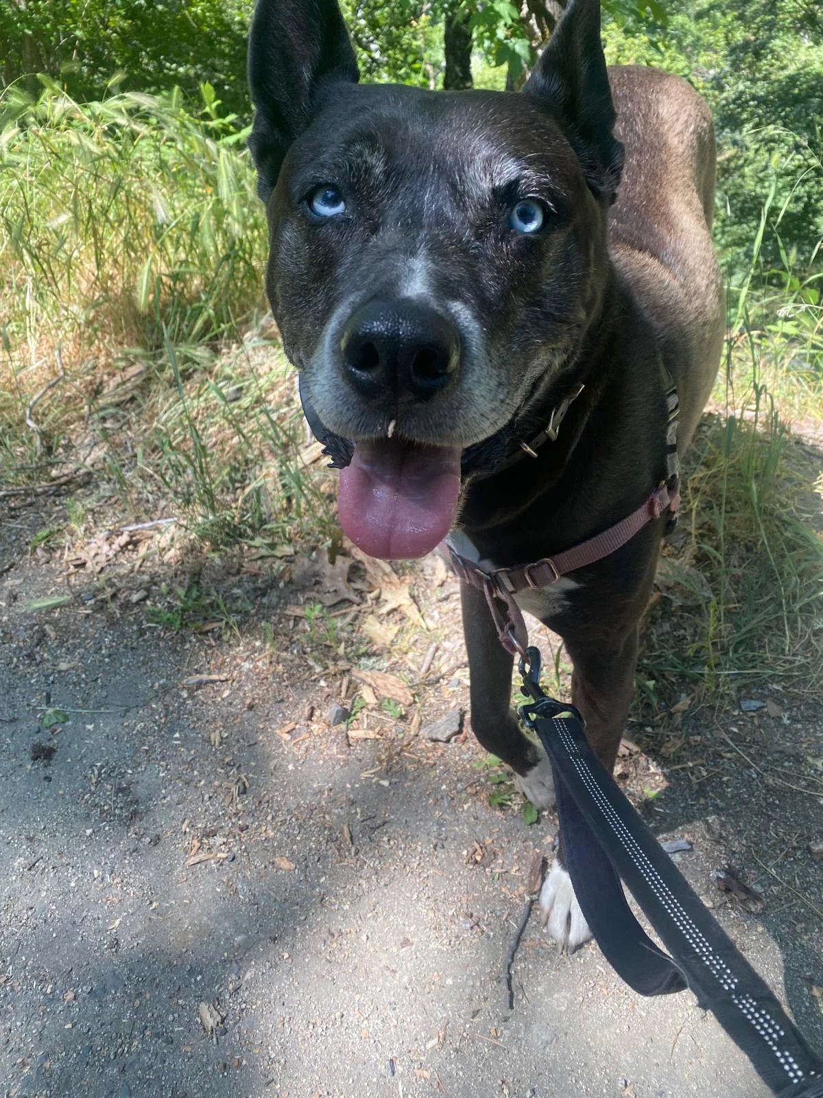 PHOTO-2025-06-04-16-48-47 2.jpeg