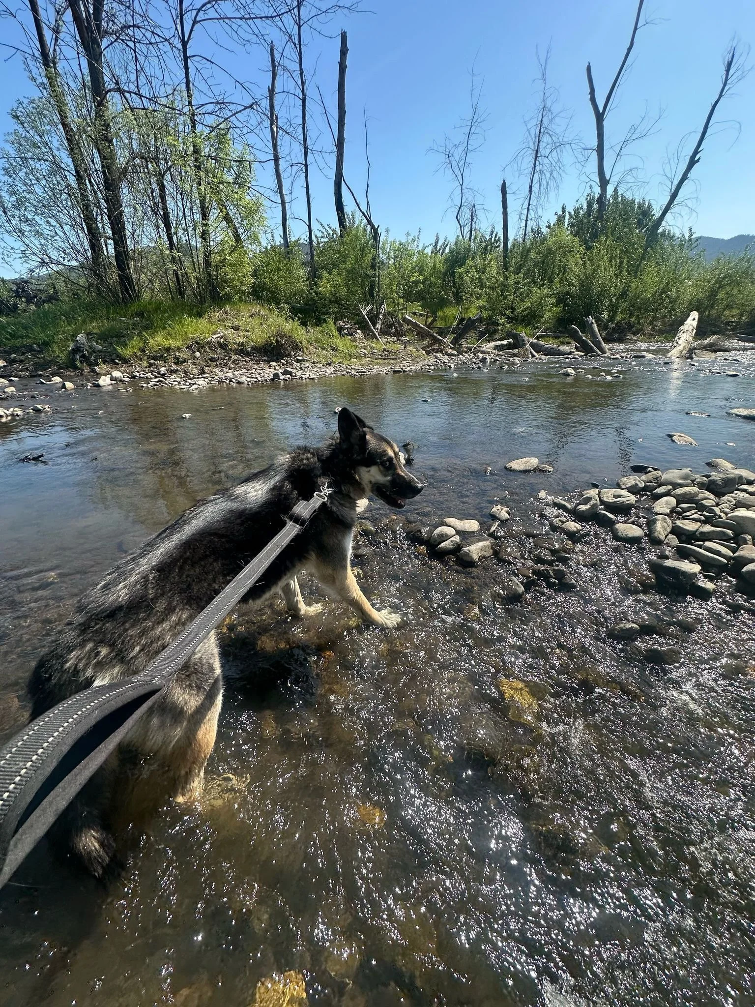 PHOTO-2025-05-01-16-30-57 3.jpeg