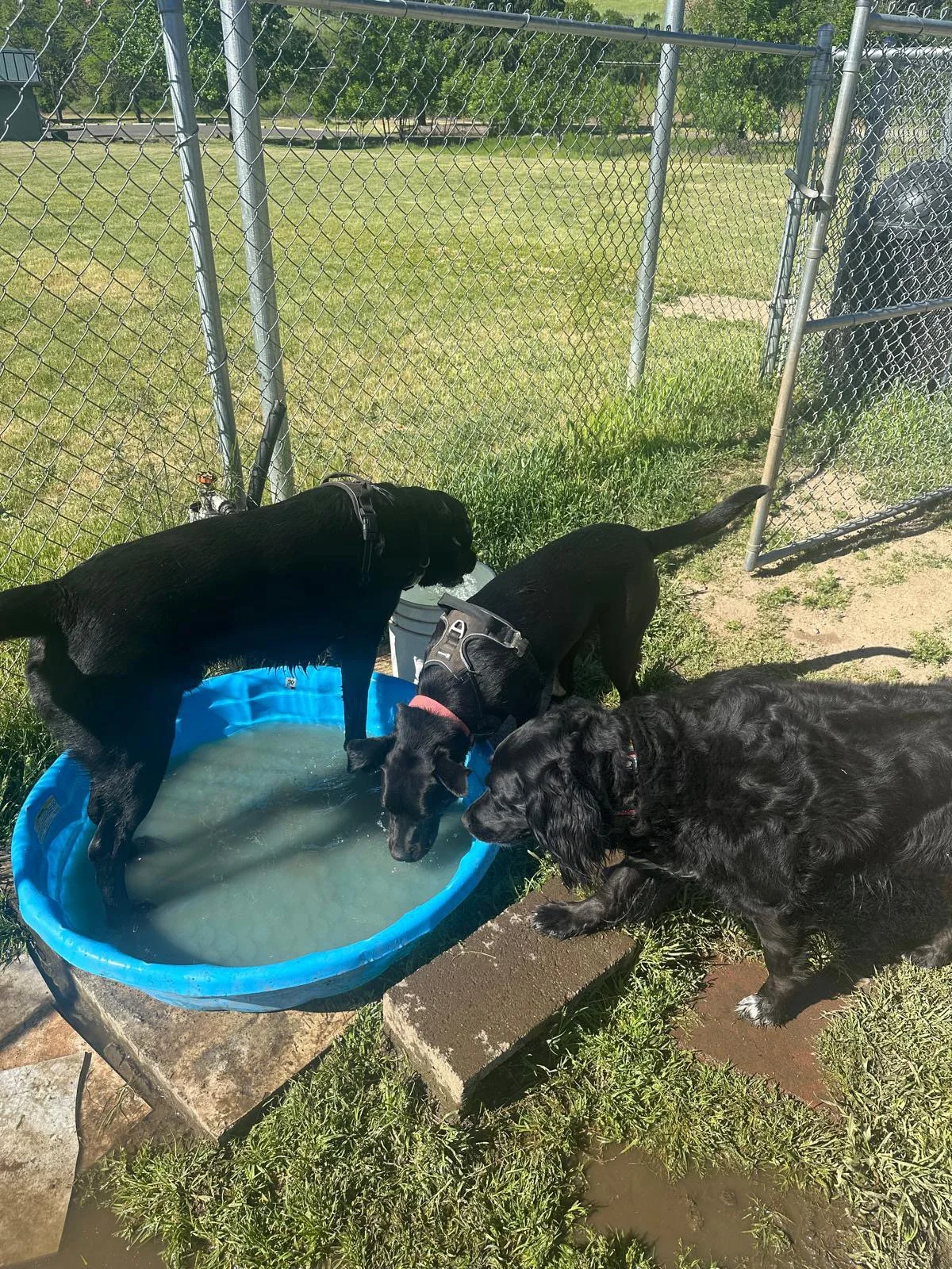 PHOTO-2025-05-06-16-14-08 2.jpeg